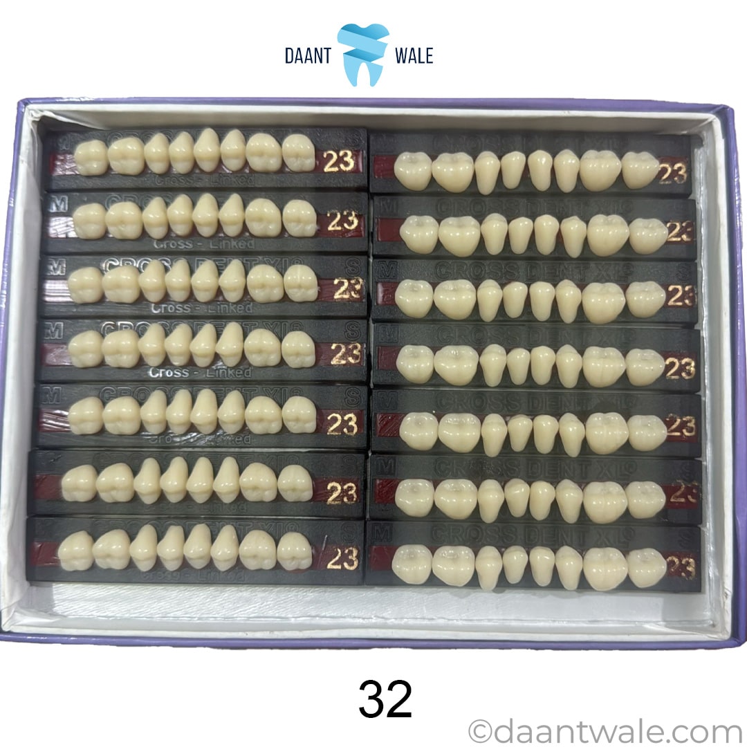 JDP Cross Dent XL Acrylic Teeth Molar Set (Box of 14)