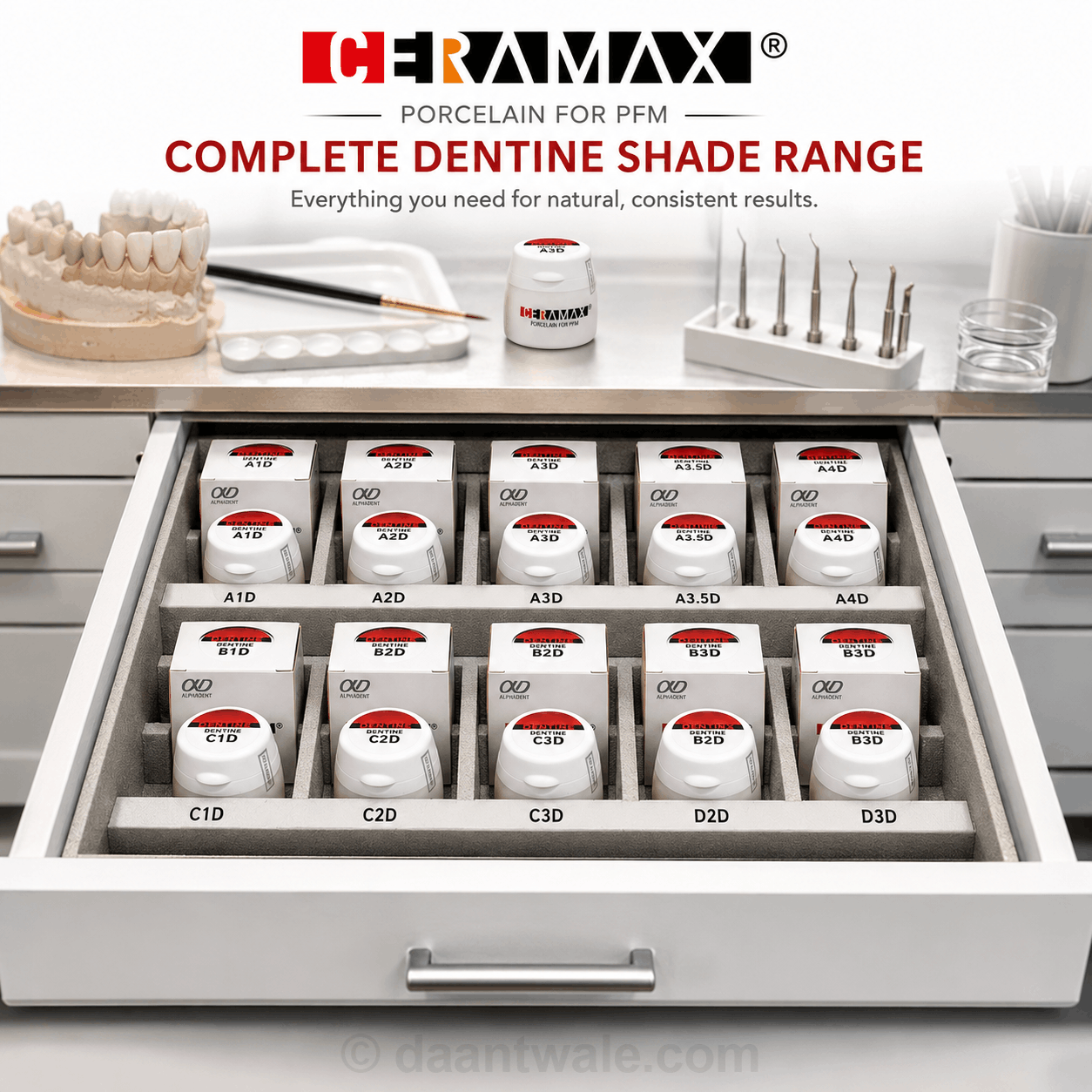 Ceramax Dentine Porcelain For PFM