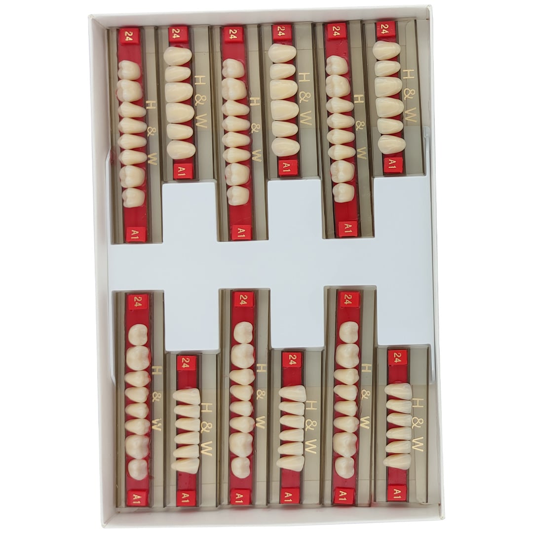 H&W Double Layer Resin Teeth Set of 28 (Box of 3)