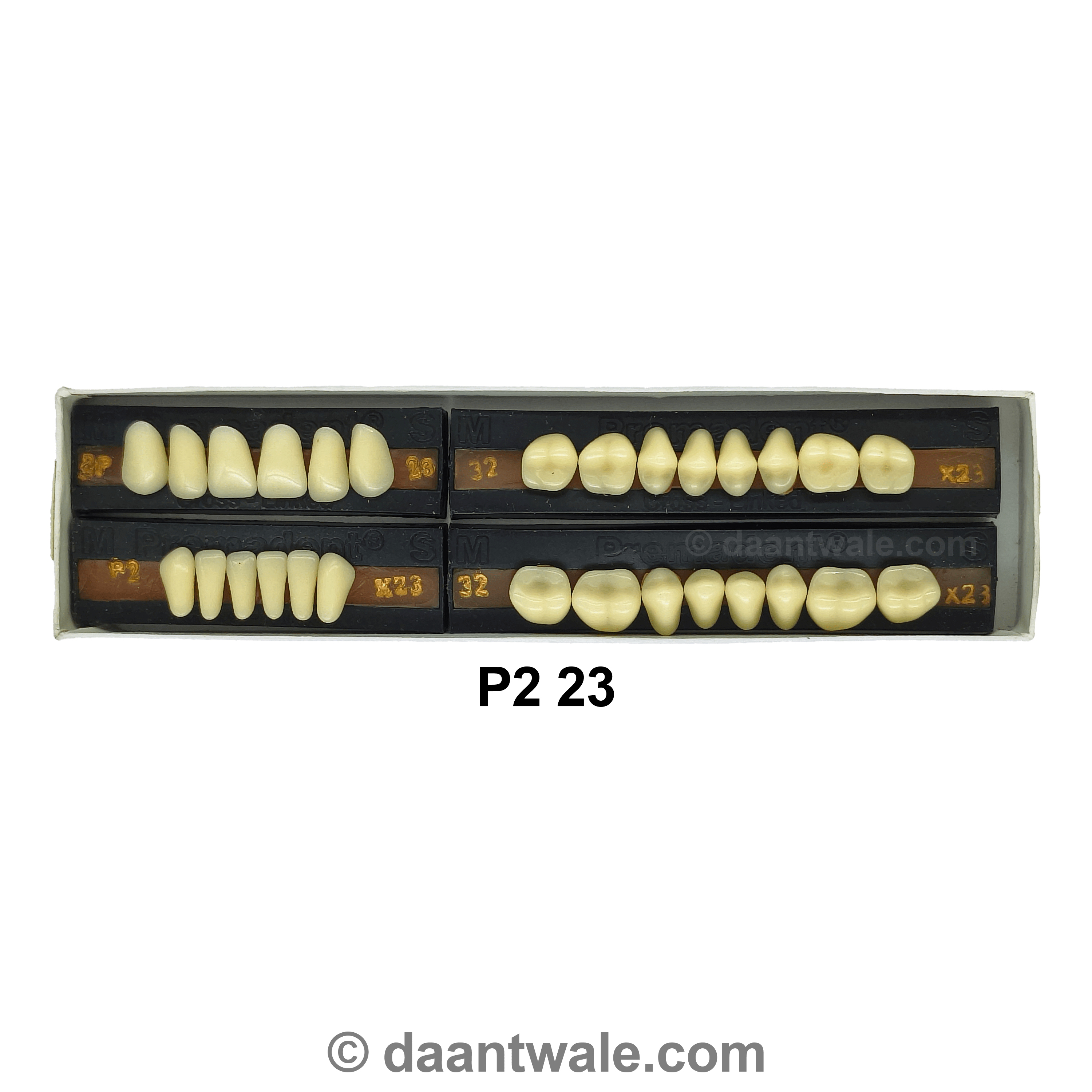 Premadent Teeth Set Cross Linked Acrylic Teeth (Shade 23)