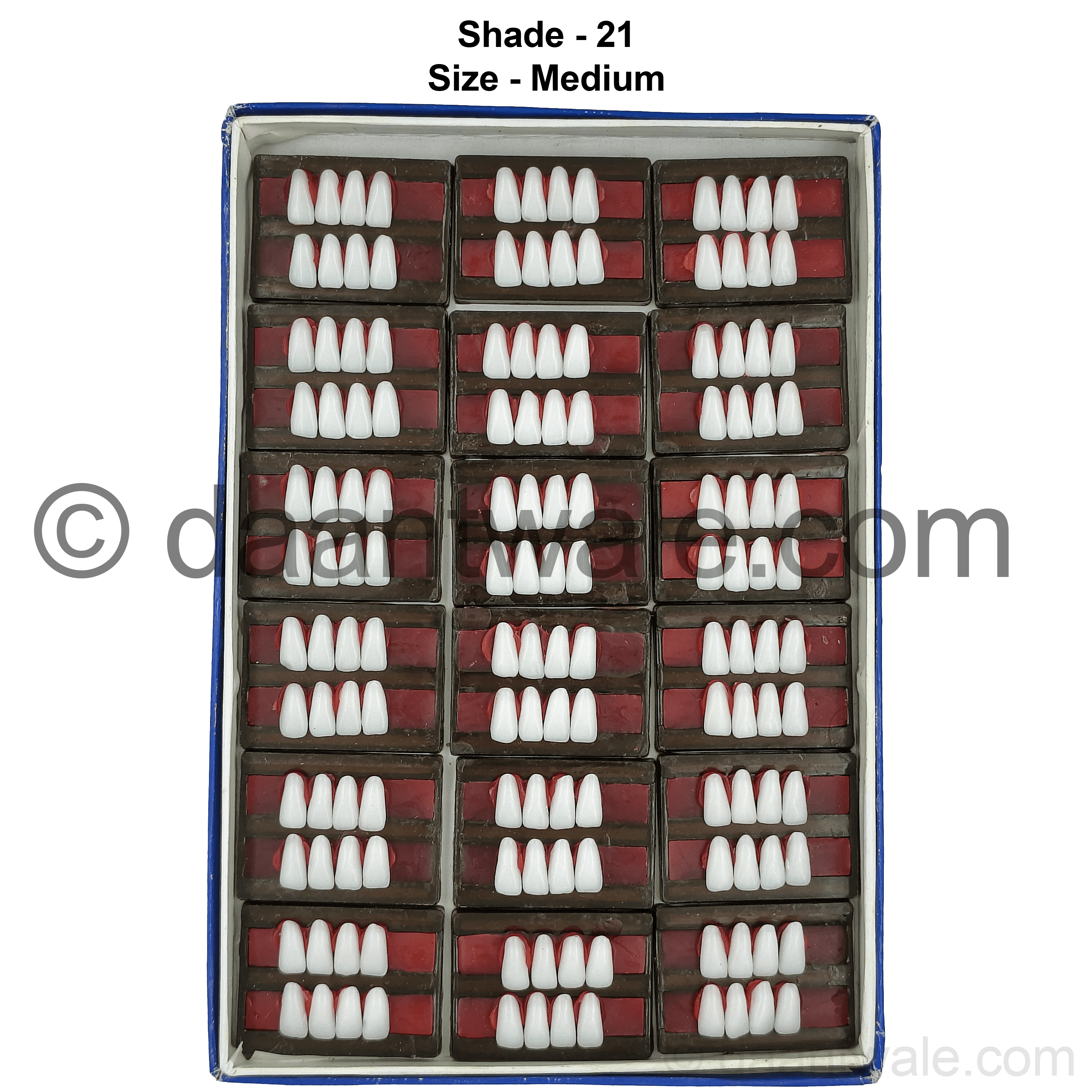 Sonadent Super Acrylic Teeth Set of 8 Lower (Box of 18)