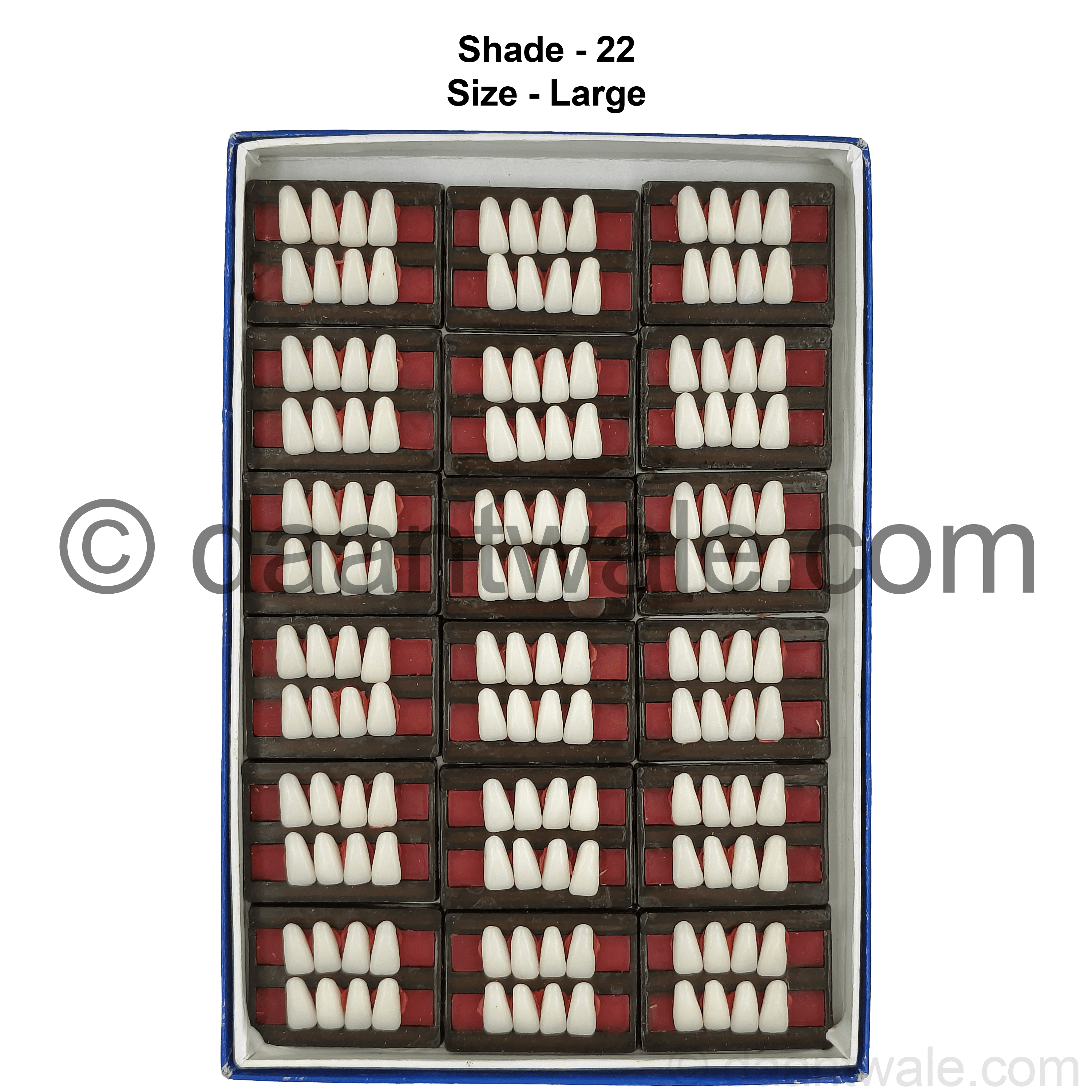 Sonadent Super Acrylic Teeth Set of 8 Lower (Box of 18)
