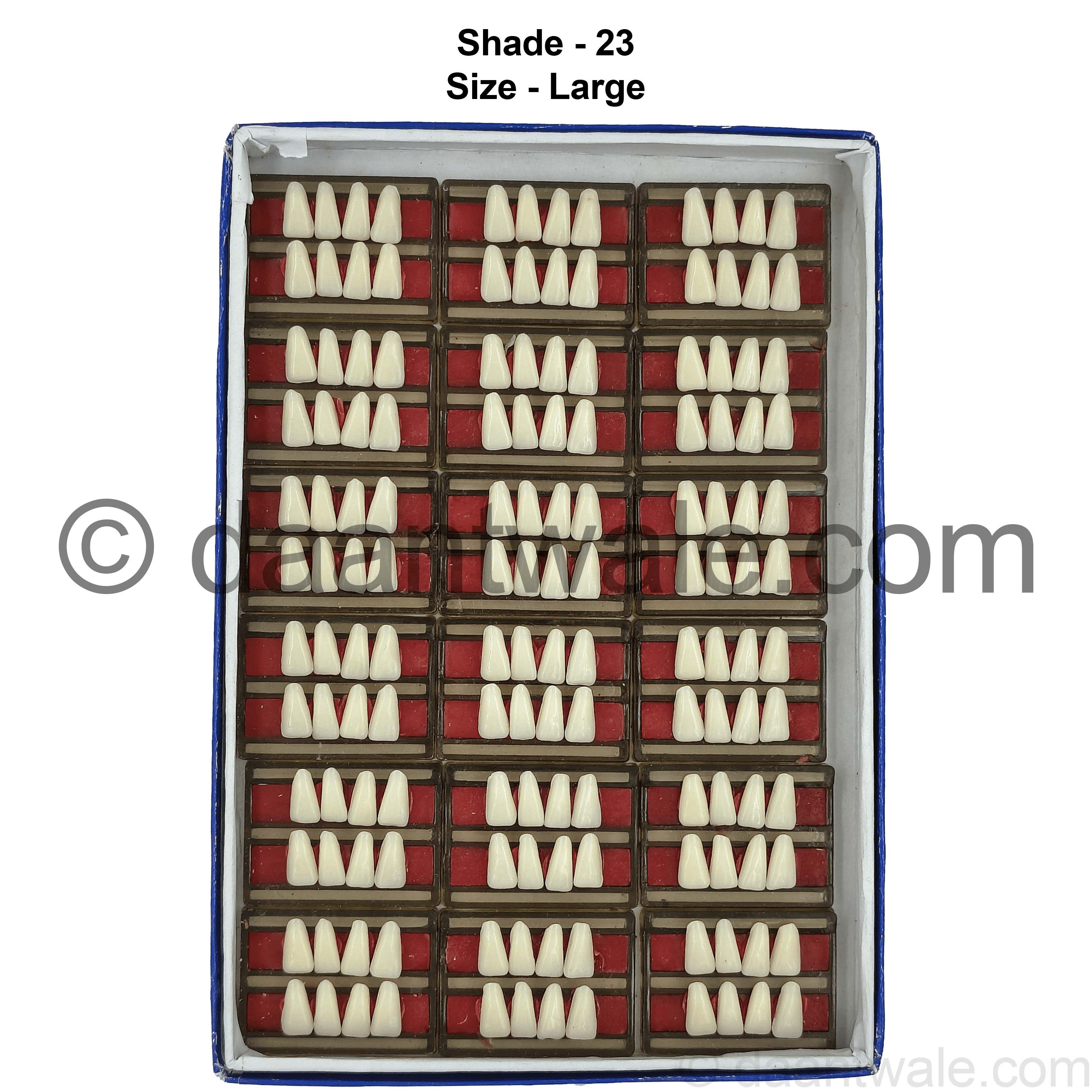 Sonadent Super Acrylic Teeth Set of 8 Lower (Box of 18)