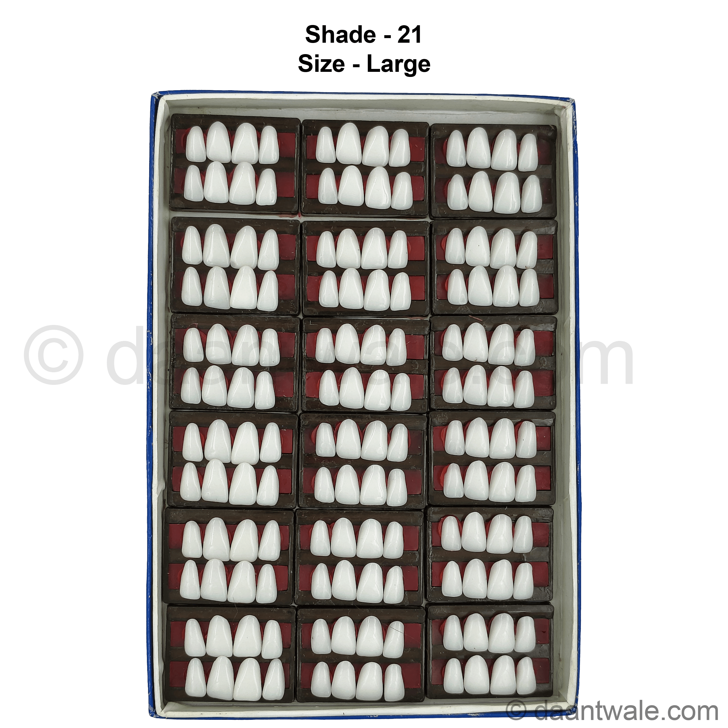 Sonadent Super Acrylic Teeth Set of 8 Upper (Box of 18)