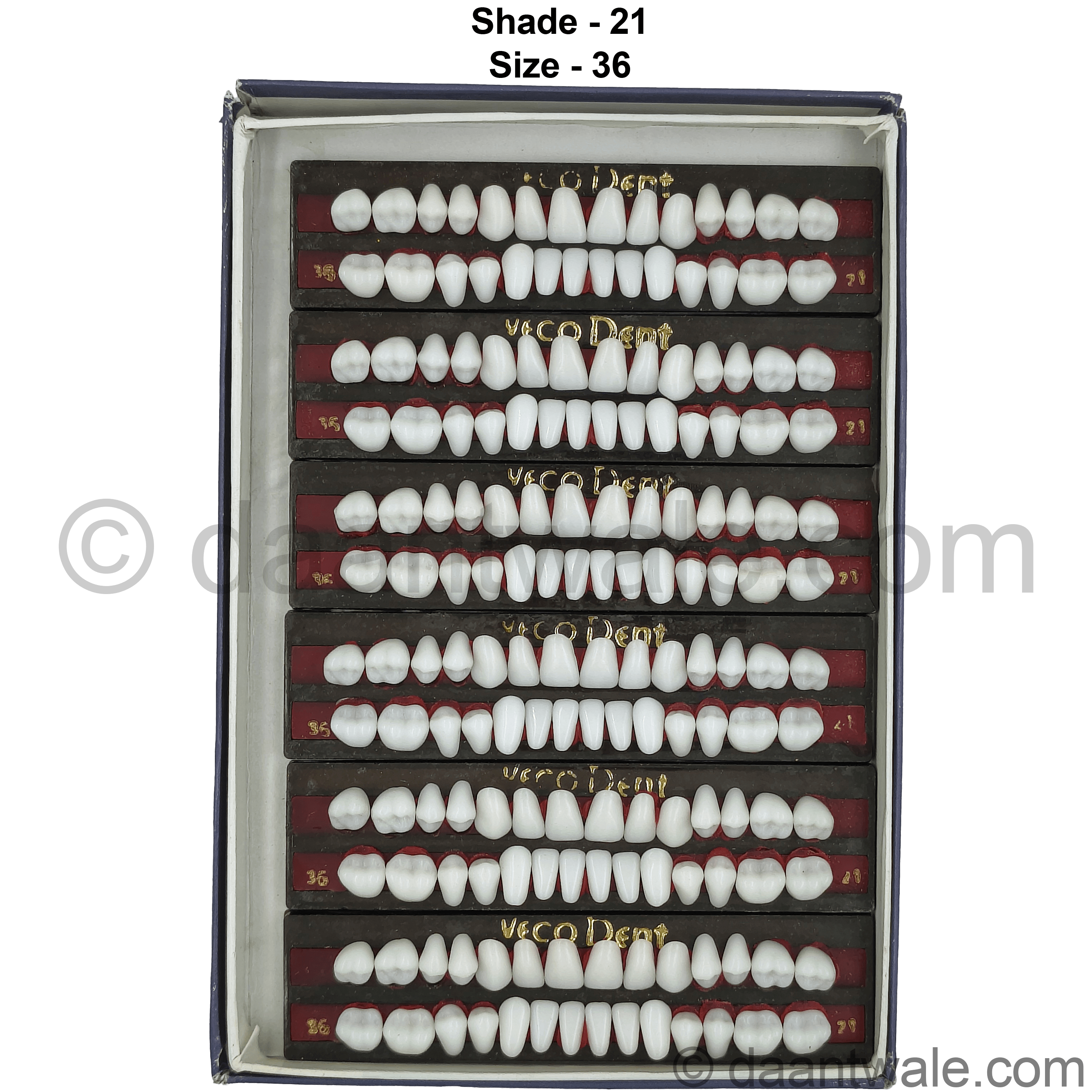 Vecodent Super Acrylic Teeth Set of 28 (Box of 6) Shade 21 (Bright White)