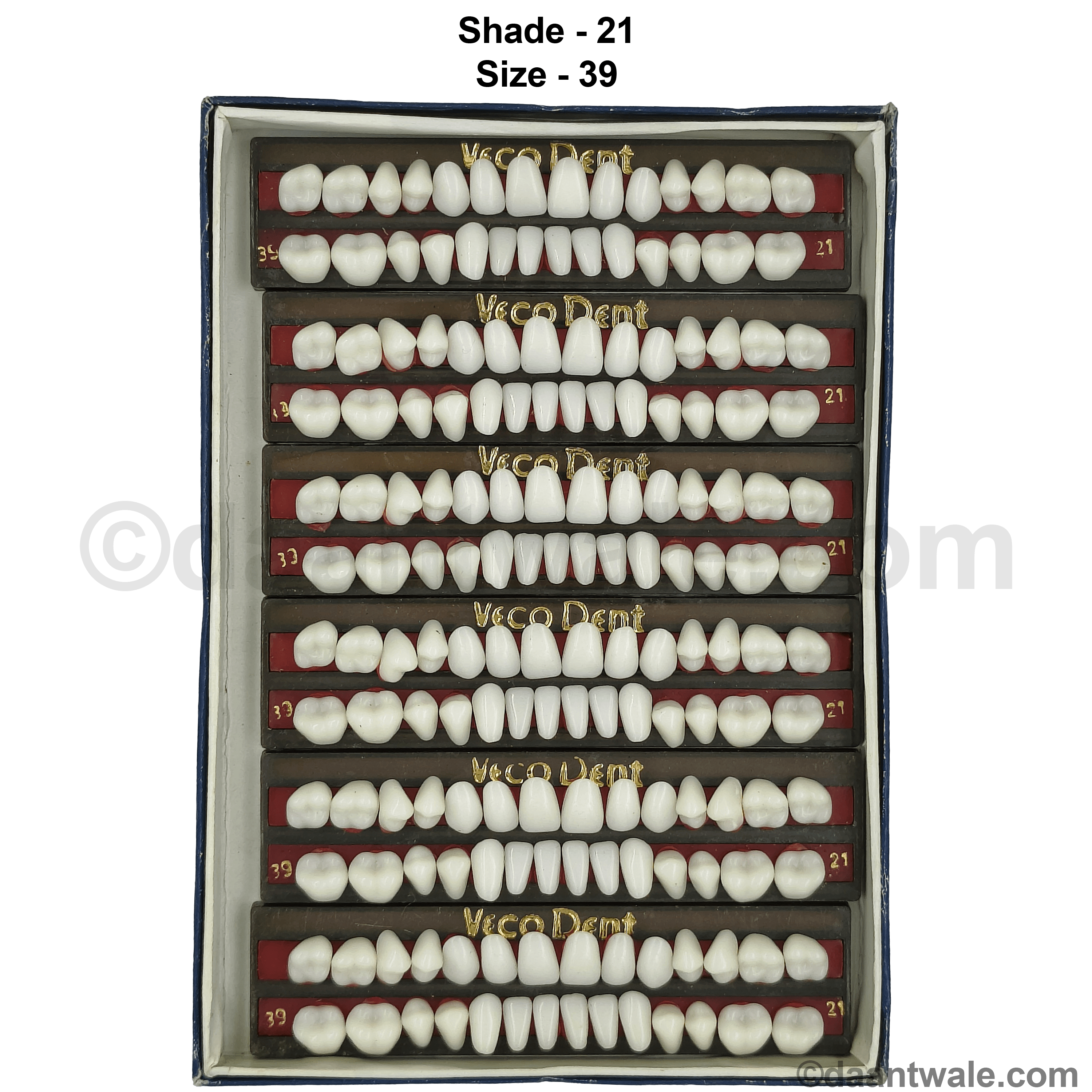 Vecodent Super Acrylic Teeth Set of 28 (Box of 6) Shade 21 (Bright White)