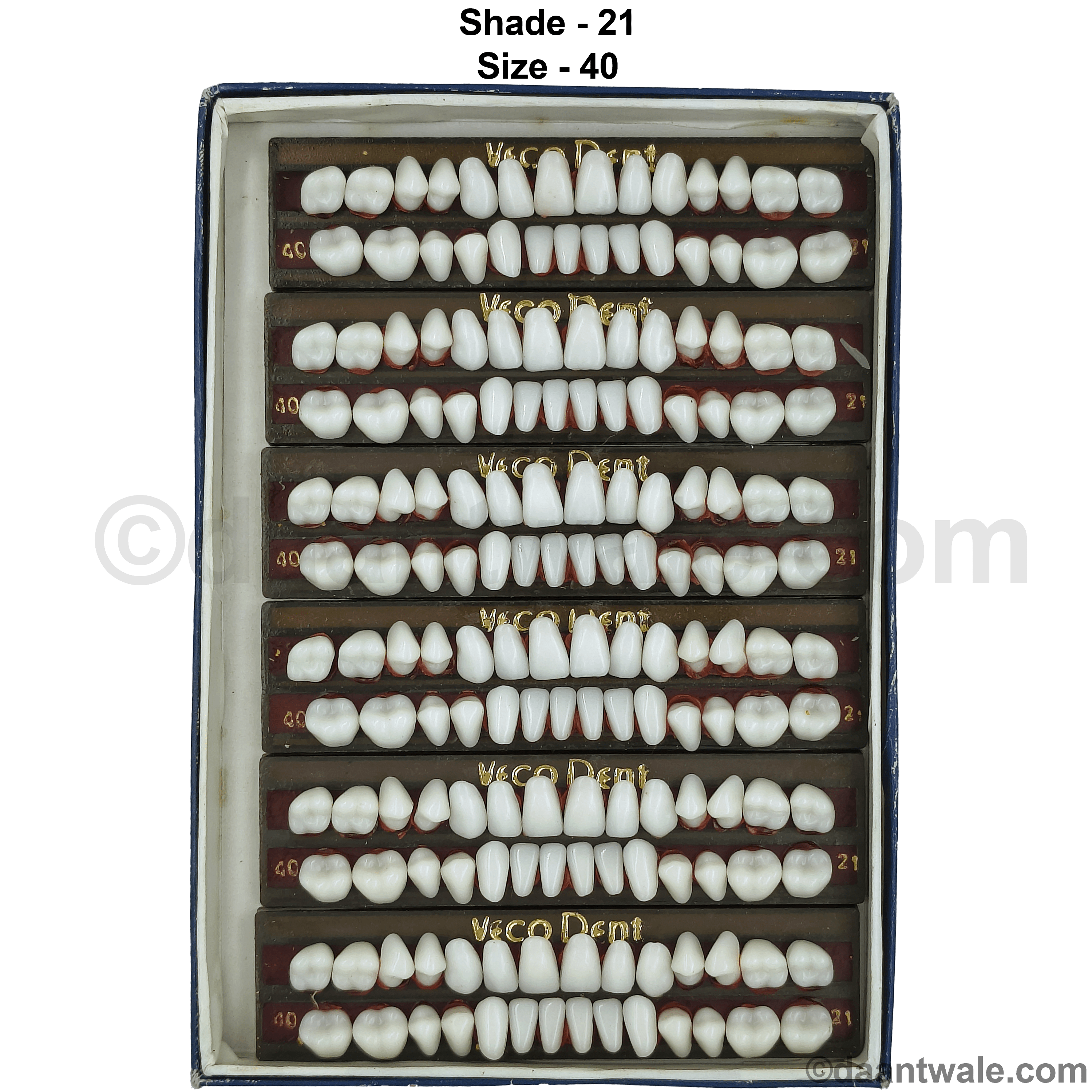 Vecodent Super Acrylic Teeth Set of 28 (Box of 6) Shade 21 (Bright White)