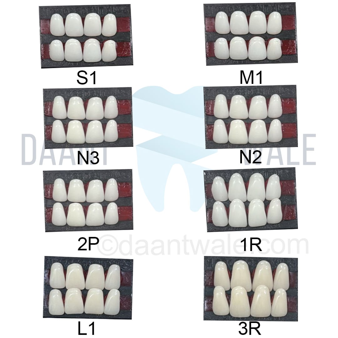 JDP Cross Dent XL Acrylic Teeth Set of 8 Upper (Box of 18)