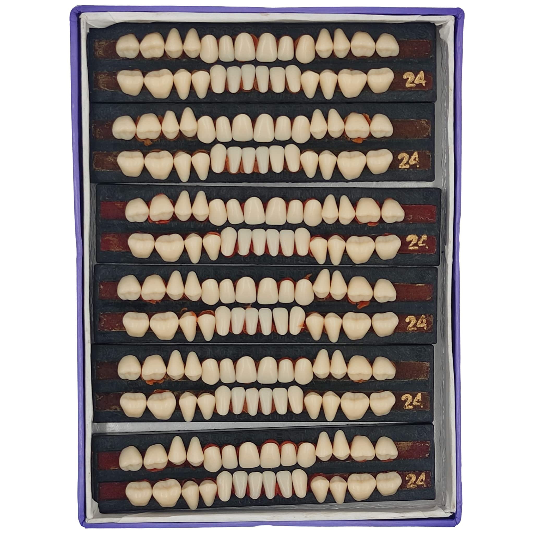 JDP Cross Dent XL Acrylic Teeth Set of 28 (Box of 6) Shade 23 (Creamish)
