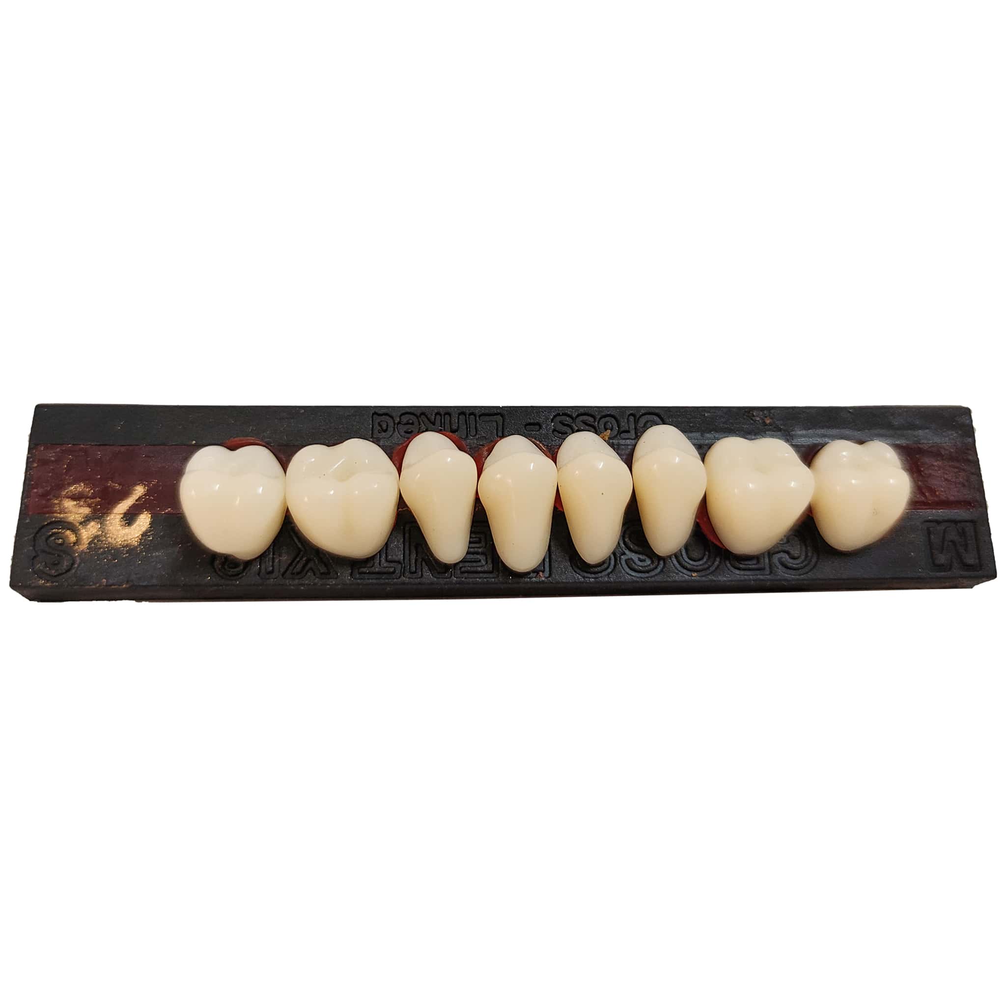 JDP Cross Dent XL Acrylic Teeth Molar Set (Box of 14)