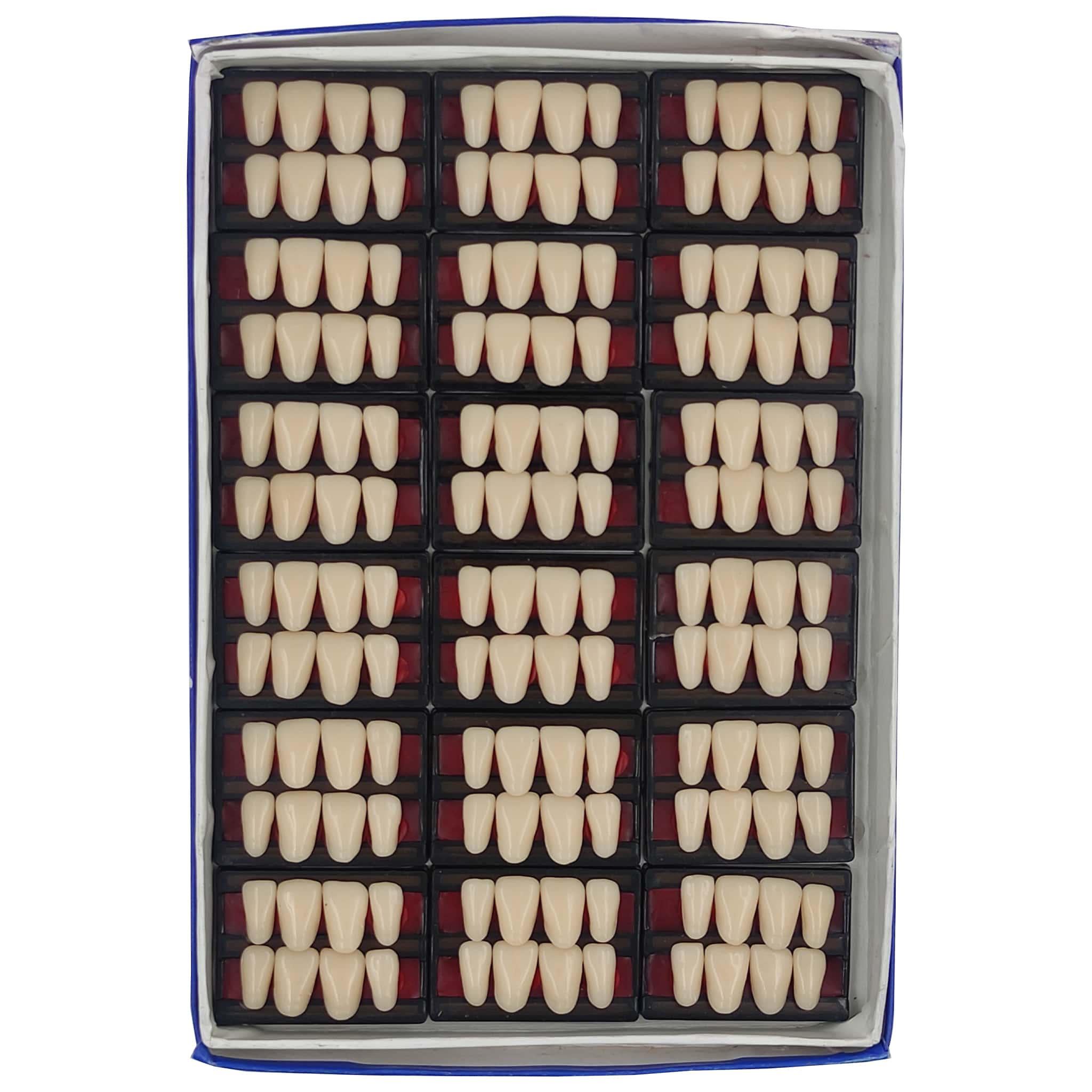 JDP Cross Dent XL Acrylic Teeth Set of 8 Upper (Box of 18)