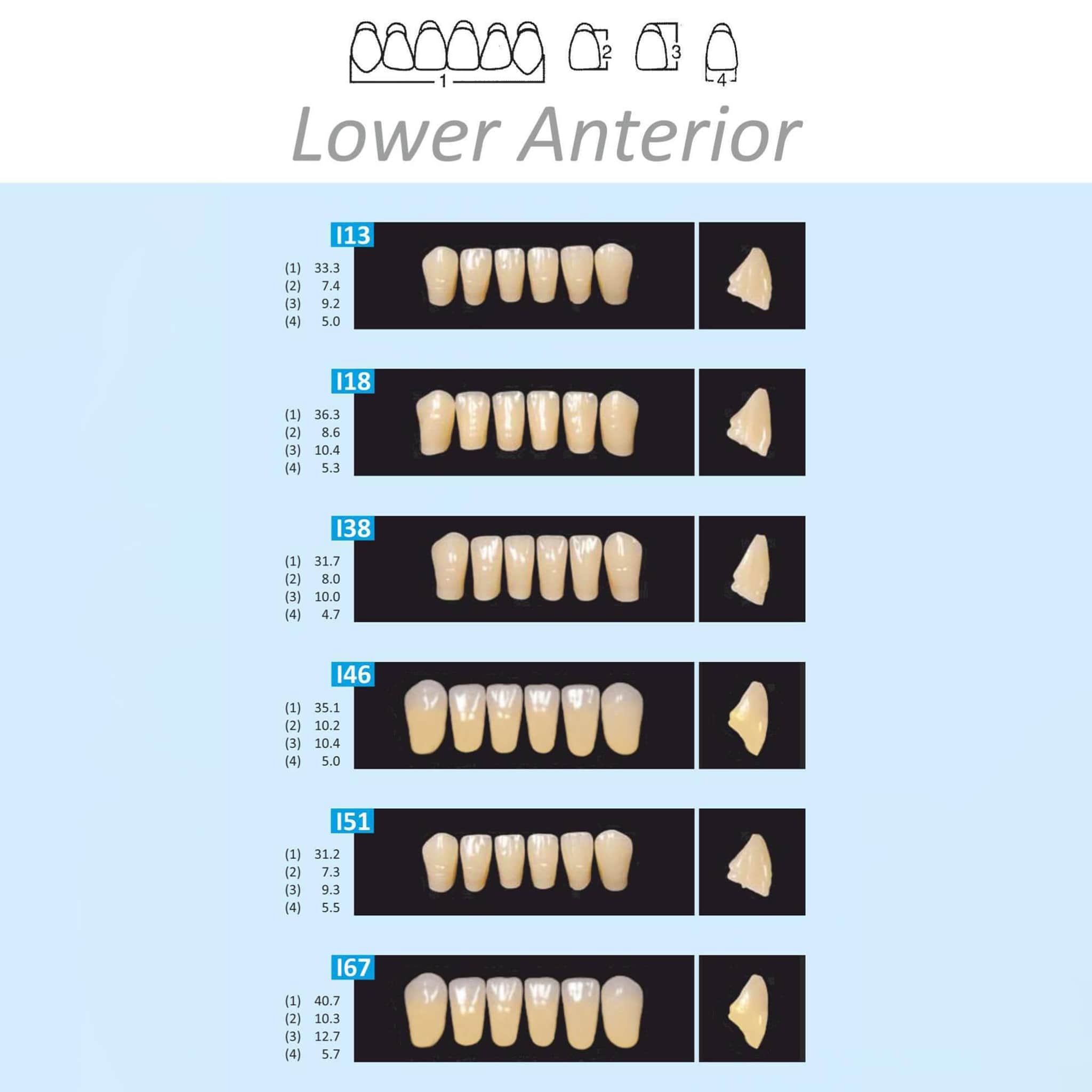 MR Dental Medi-Cryl II Full Set A1 Shade (Box of 4)