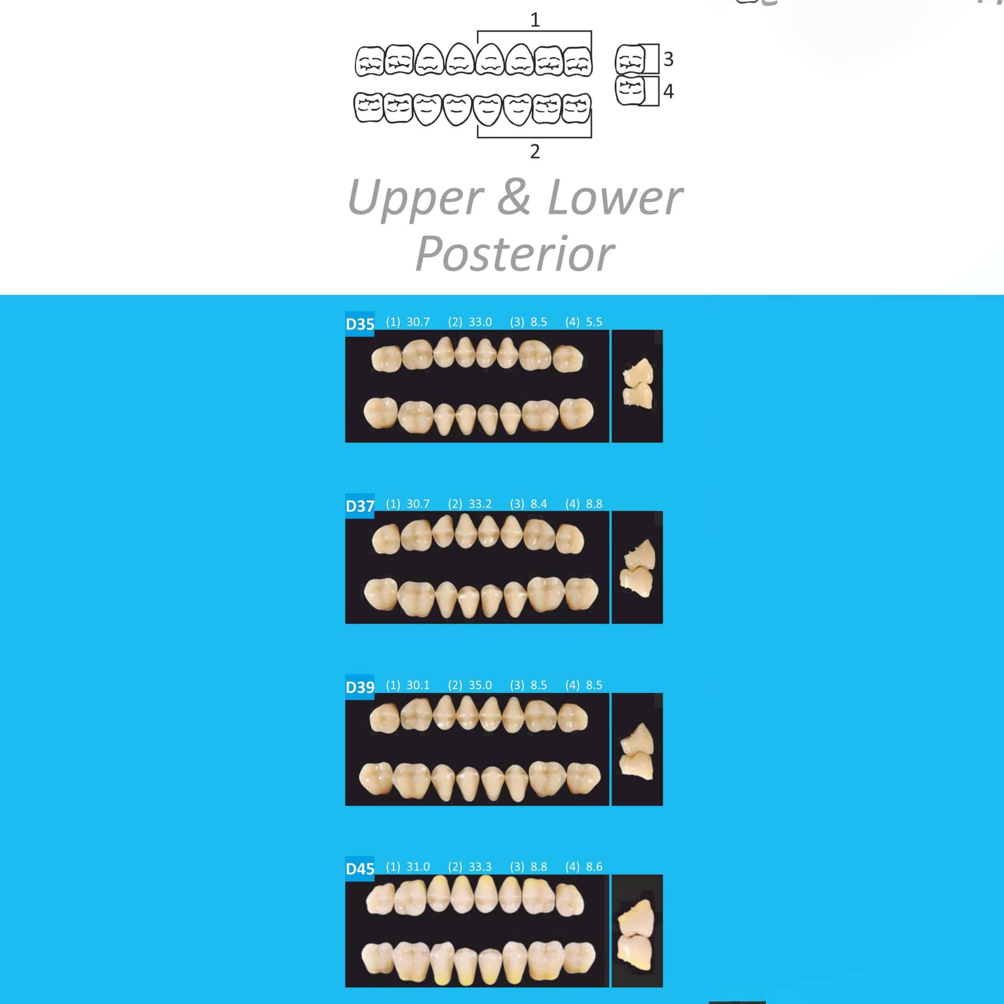 MR Dental Medi-Cryl II Full Set A1 Shade (Box of 4)