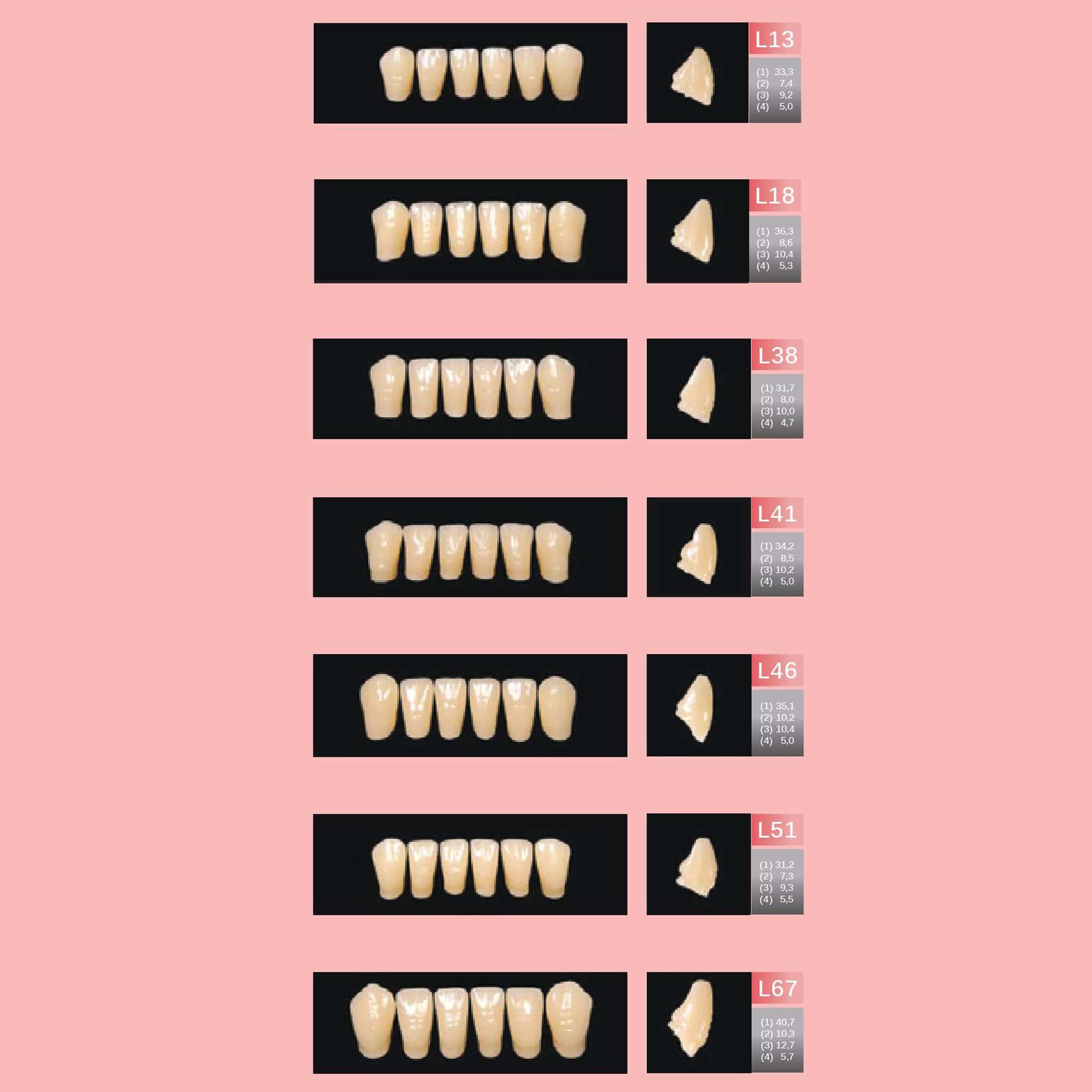 Brulon Biorock VXL Set of 28 Shade A2 (Box of 4)