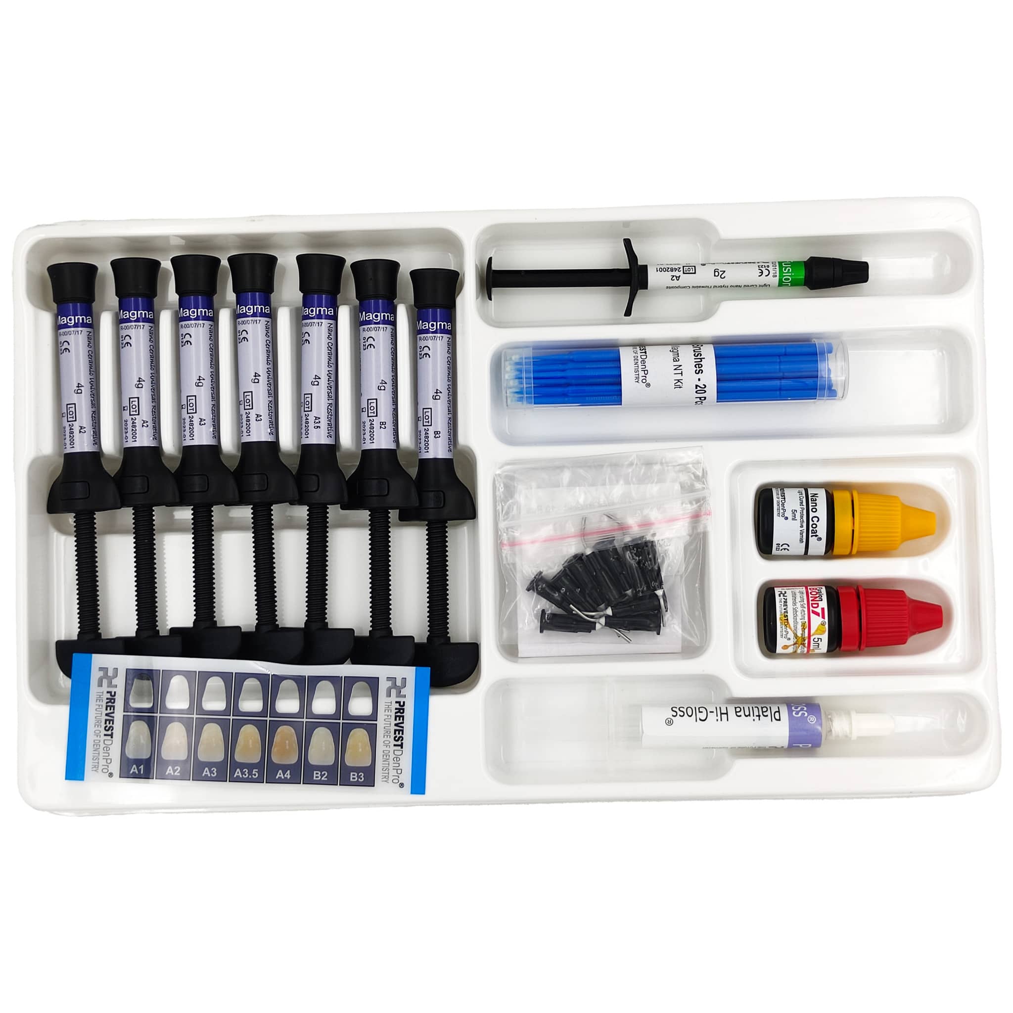 Prevest DenPro Magma NT Composite Kit