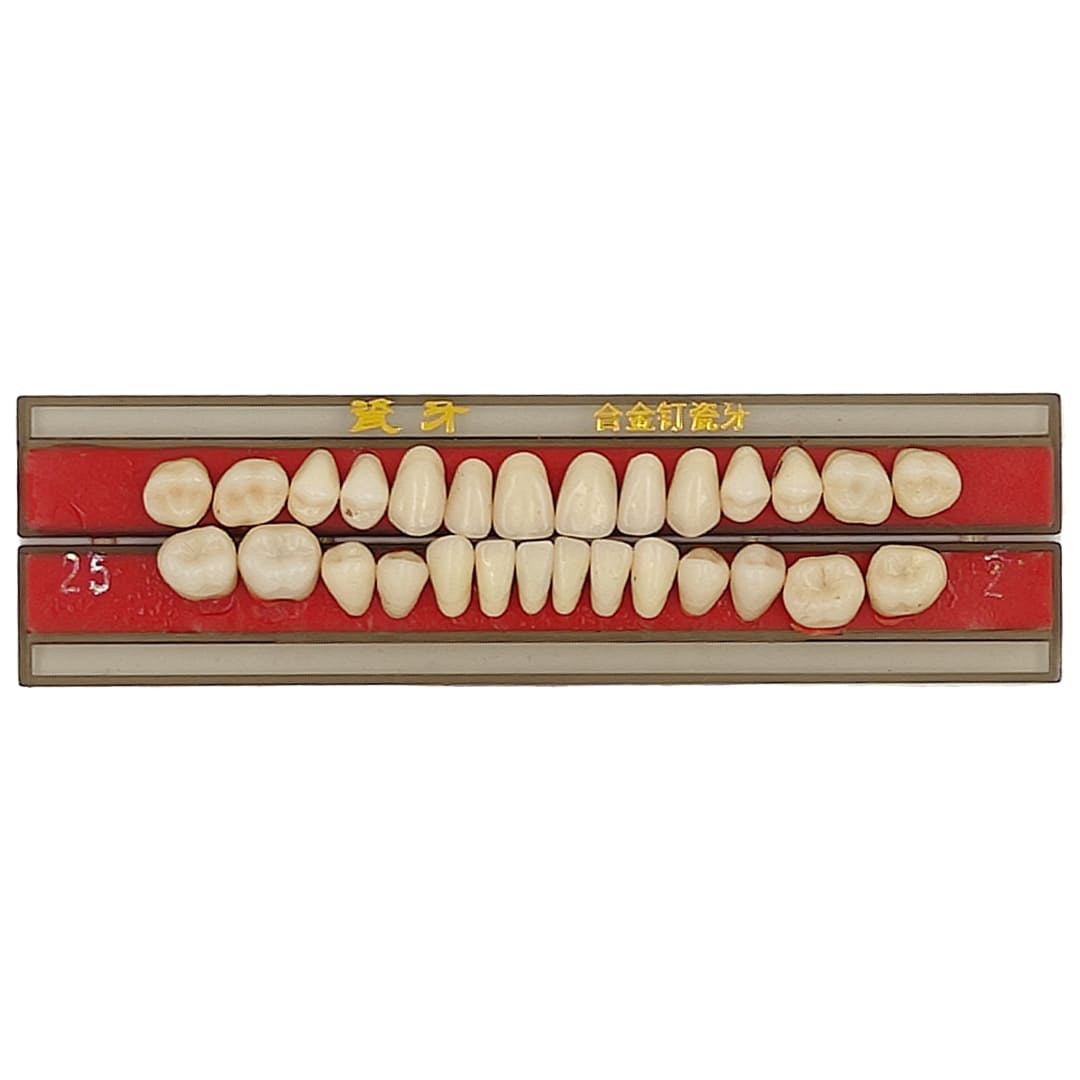 Porcelain Teeth Set of 28