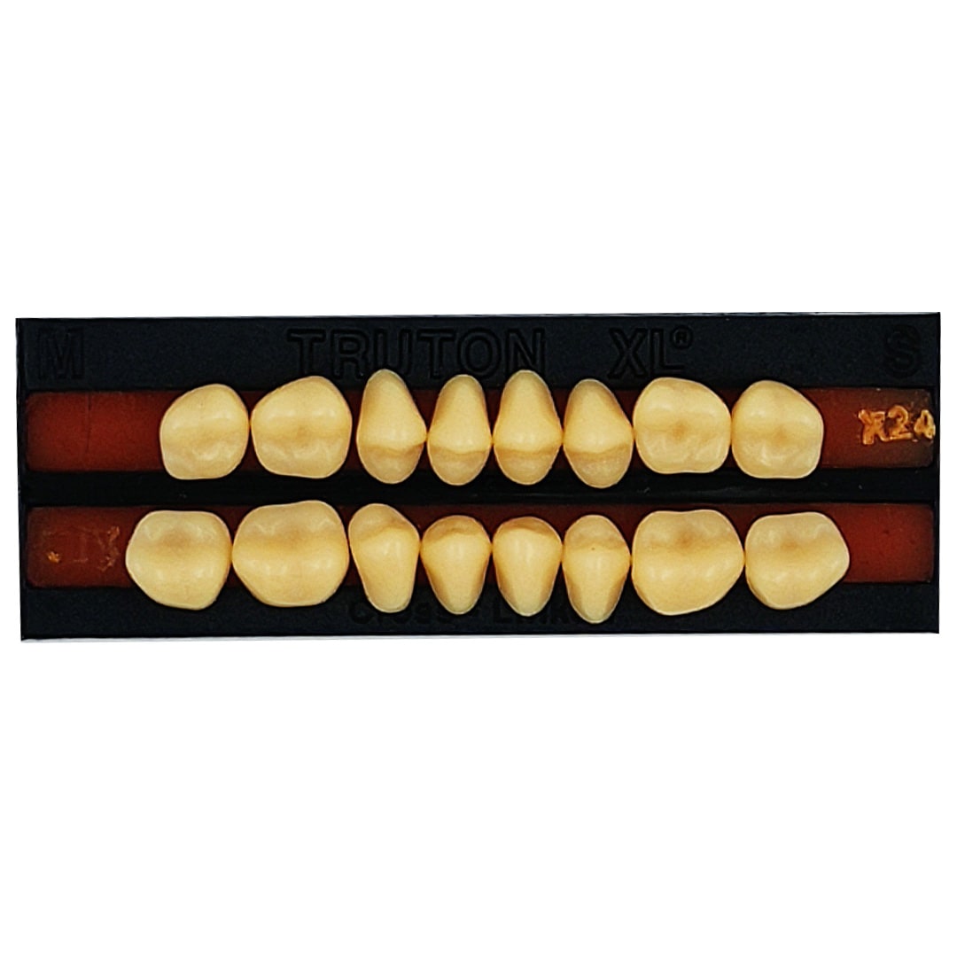 Truton Molar Set (Box of 8)