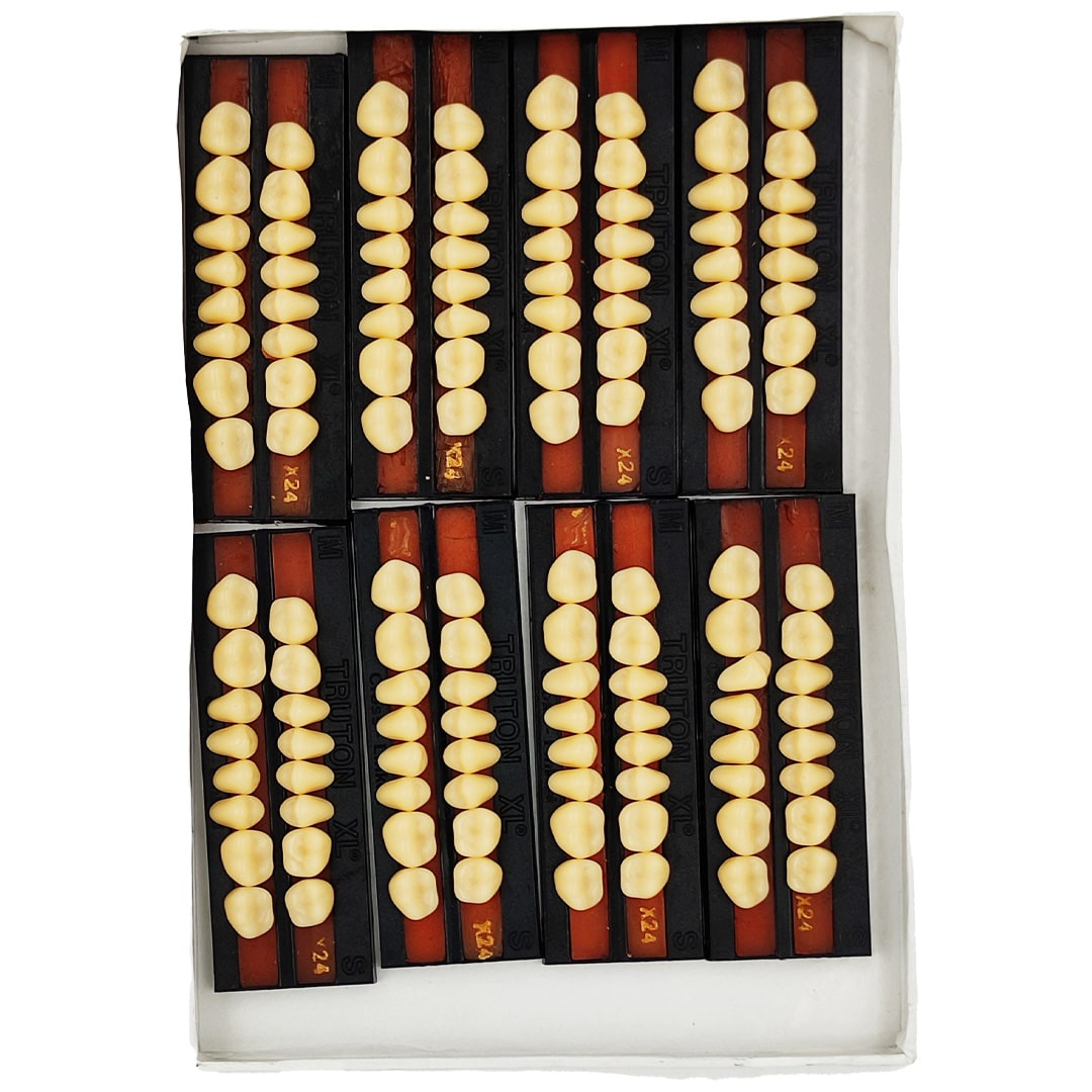 Truton Molar Set (Box of 8)