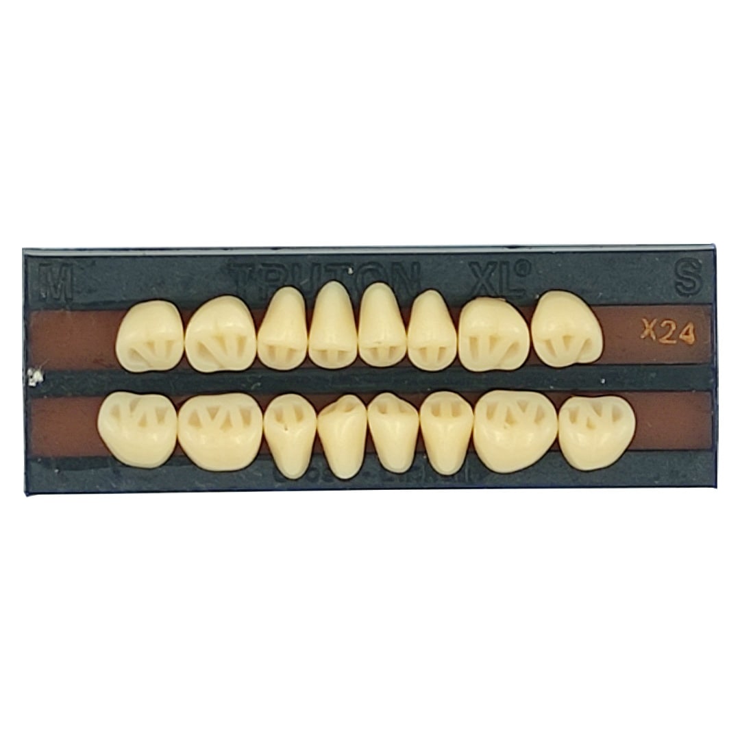 Truton Zero Degree Molar Set (Box of 8)