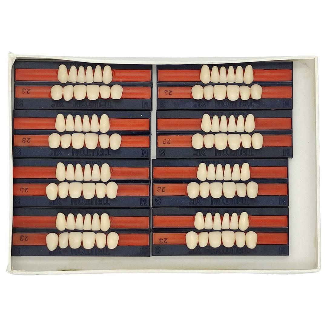 Truton Artificial Teeth Set of 12 (Box of 8)