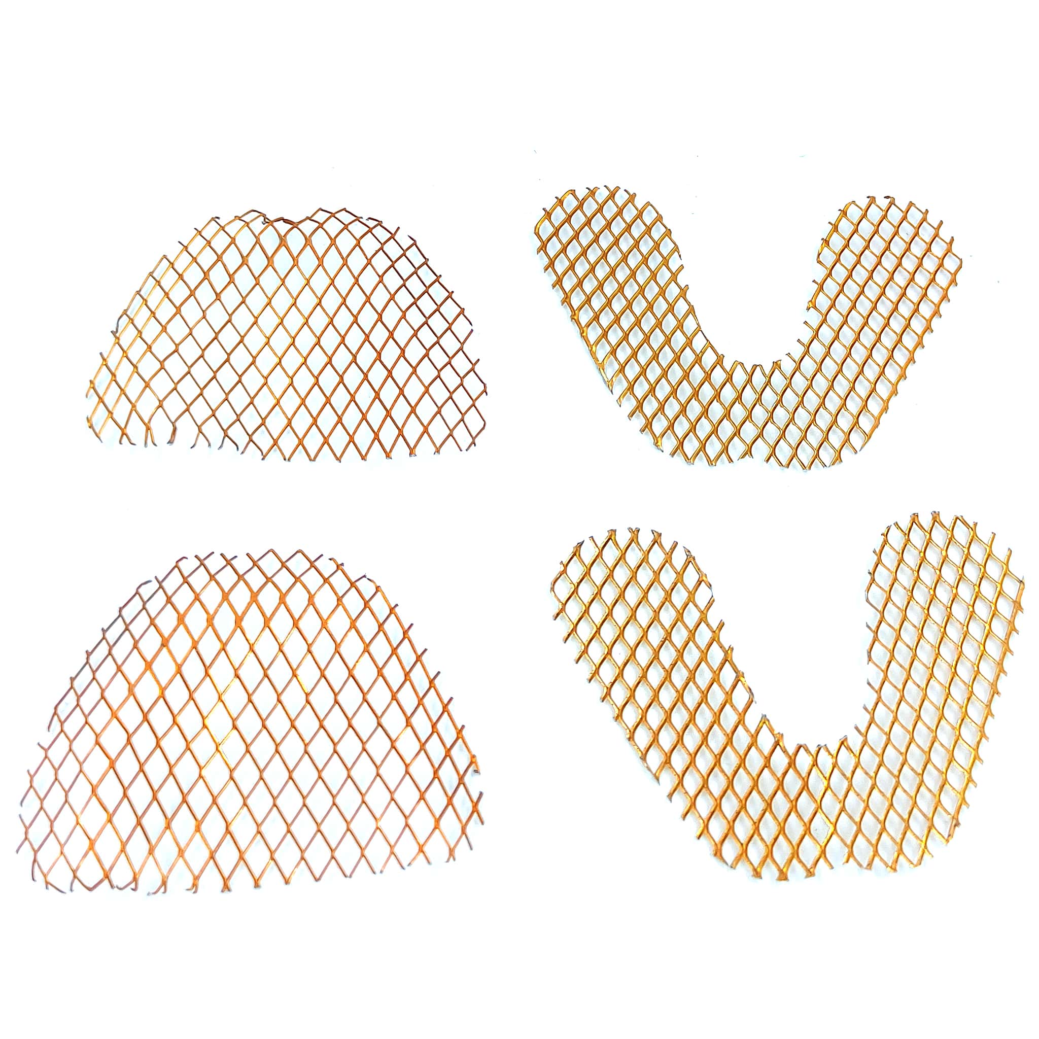 Denture Mesh (Pack of 2)