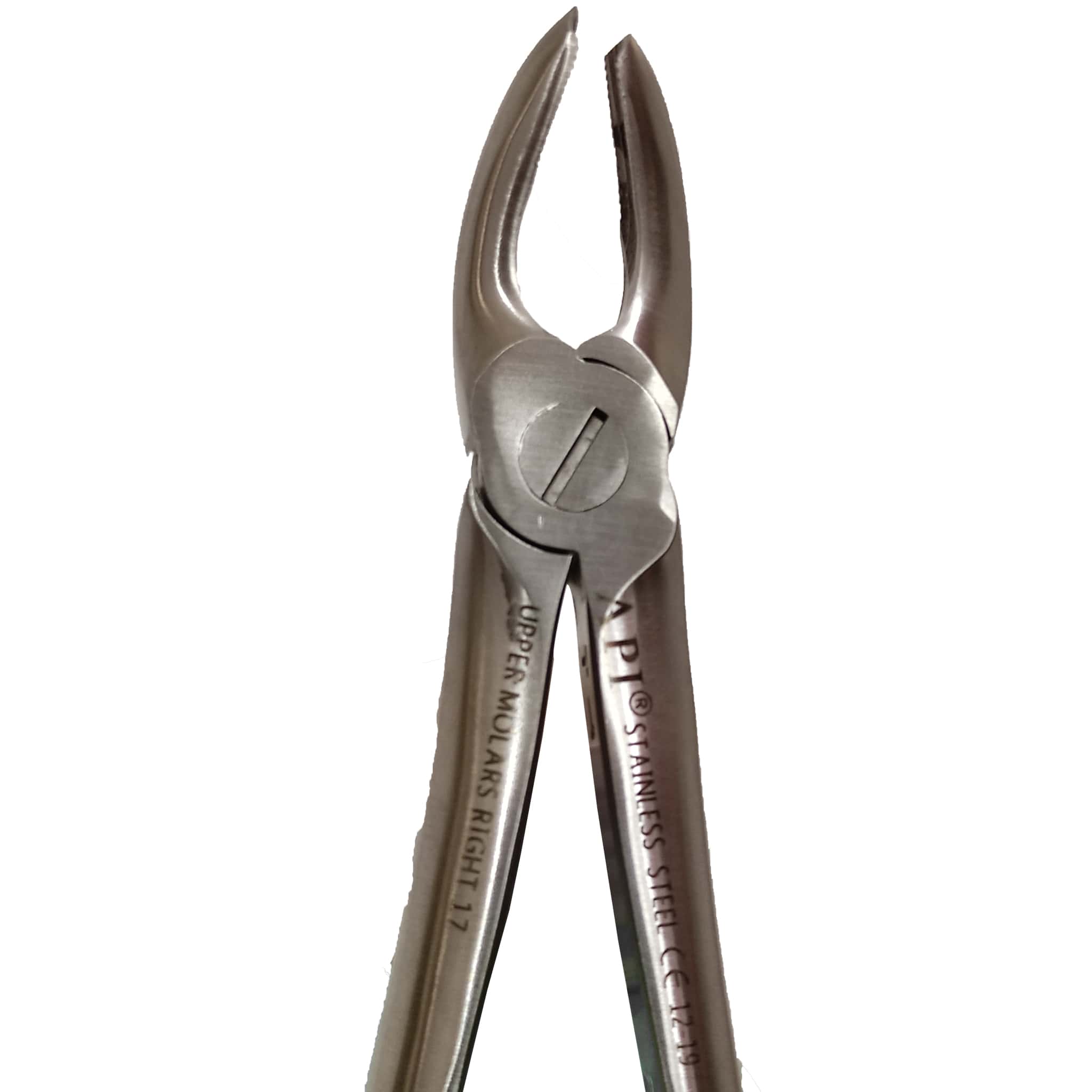 API Extraction Forceps Molar
