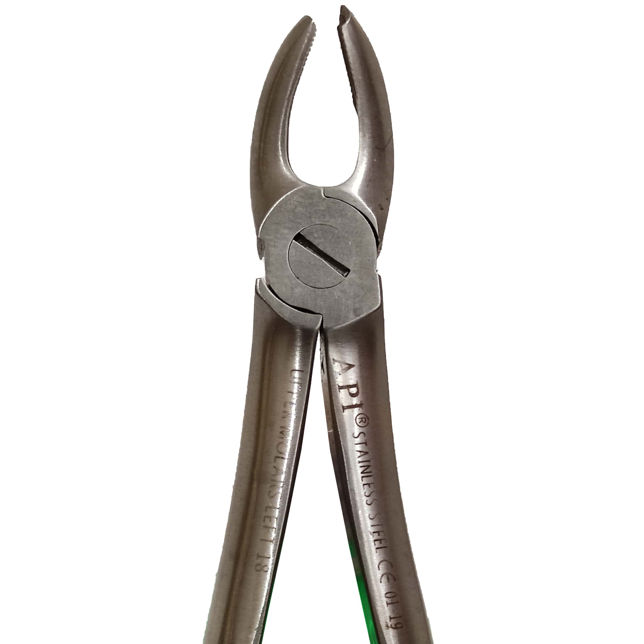 API Extraction Forceps Molar