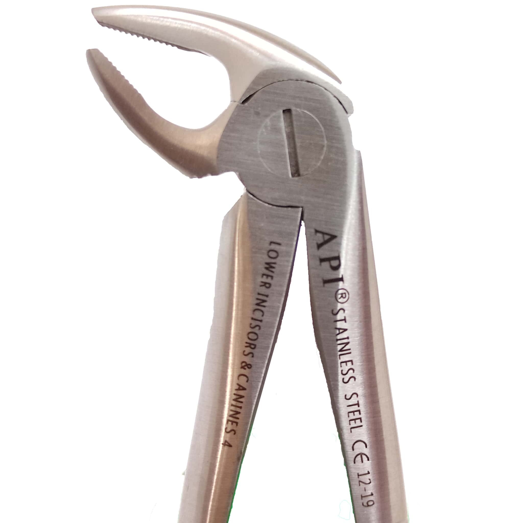 API Extraction Forceps Adult Anterior