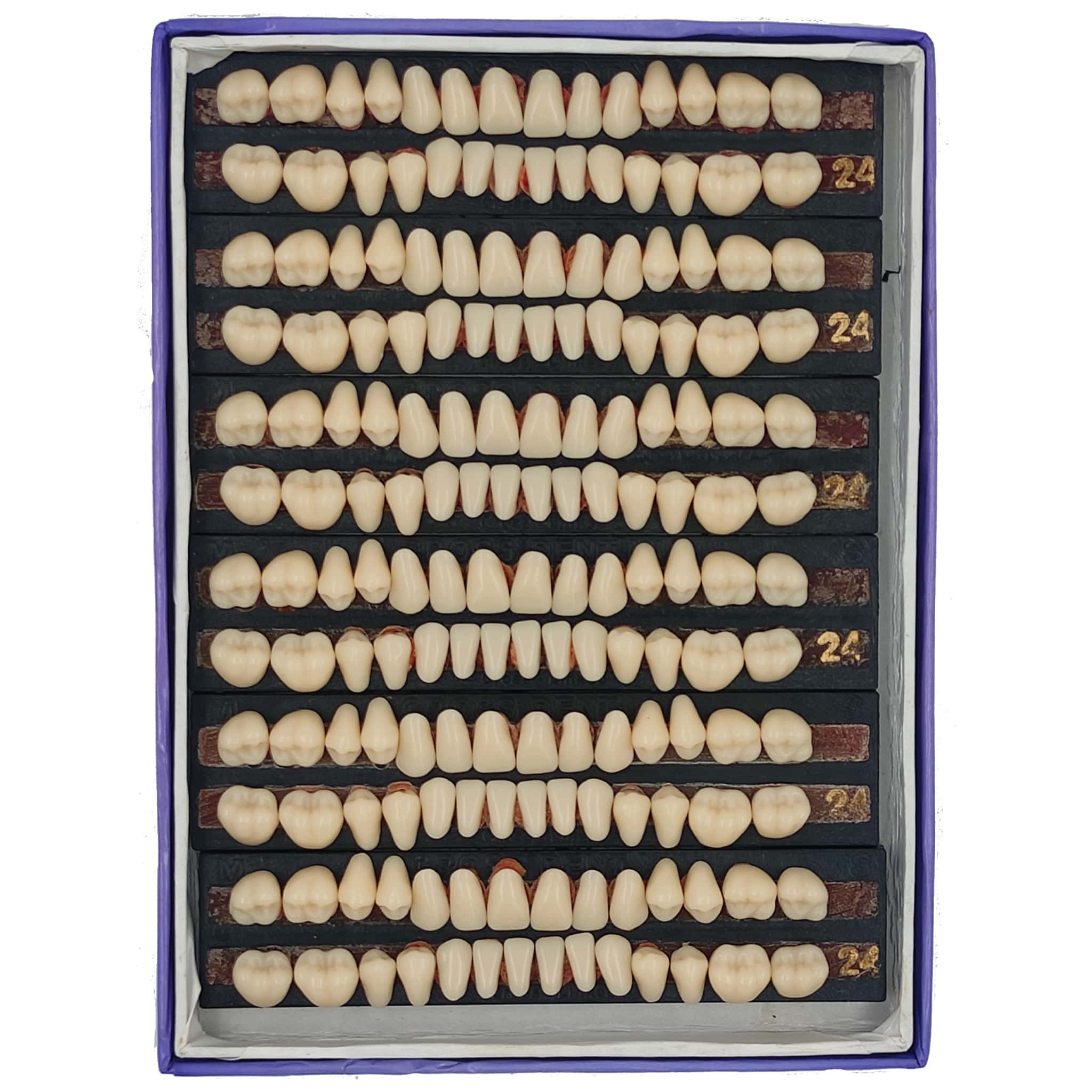 Vecodent Super Acrylic Teeth Set of 28 (Box of 6) Shade 24 (Yellowish)