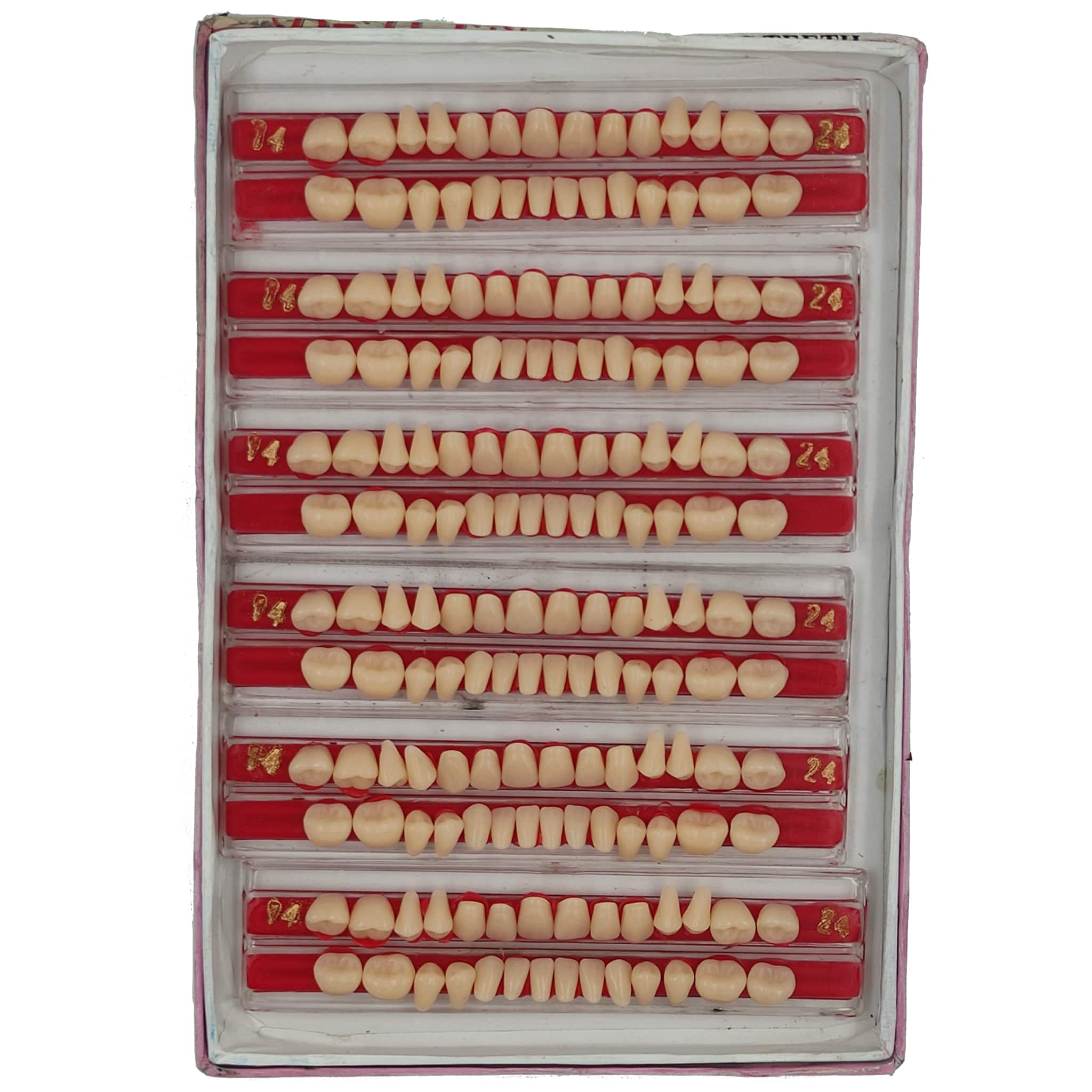 Vecodent Super Acrylic Teeth Set of 28 (Box of 6) Shade 24 (Yellowish)