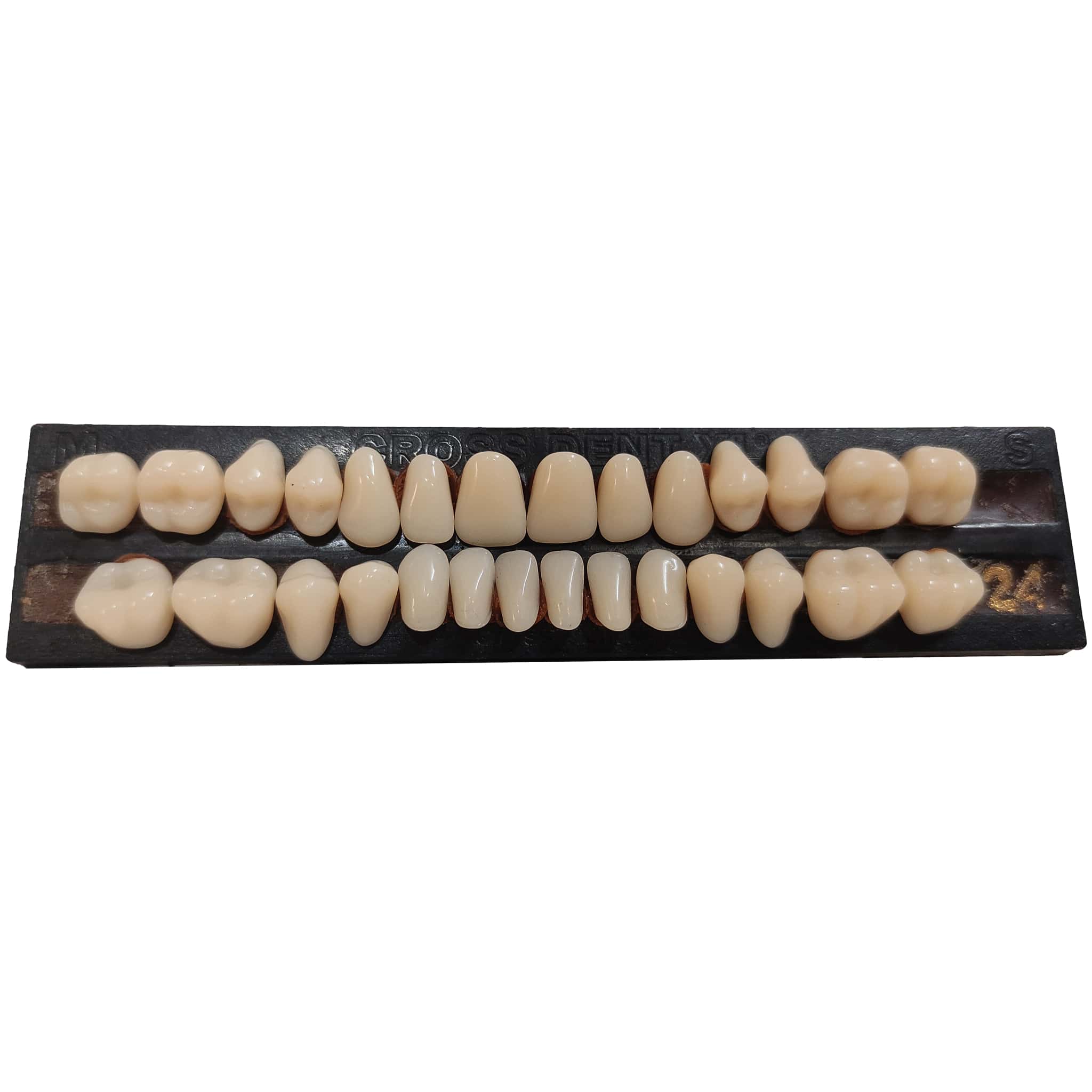 Vecodent Super Acrylic Teeth Set of 28 (Box of 6) Shade 24 (Yellowish)