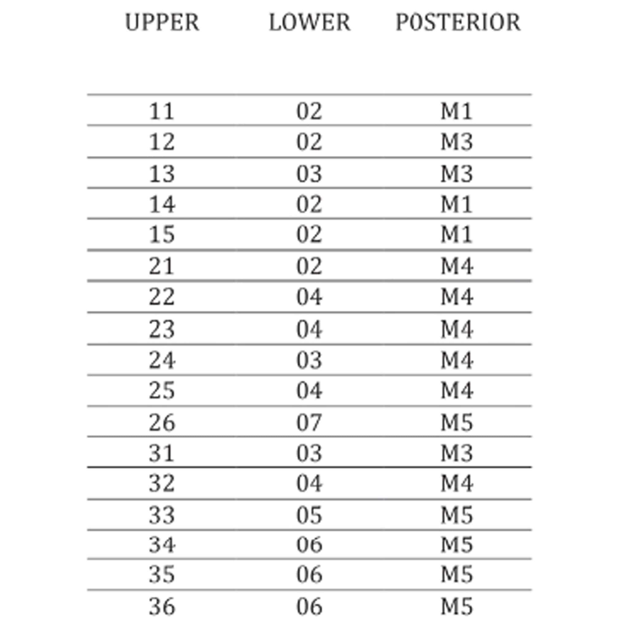 MR Dental Medi-Lux Full Set B4 Shade (Box of 4)