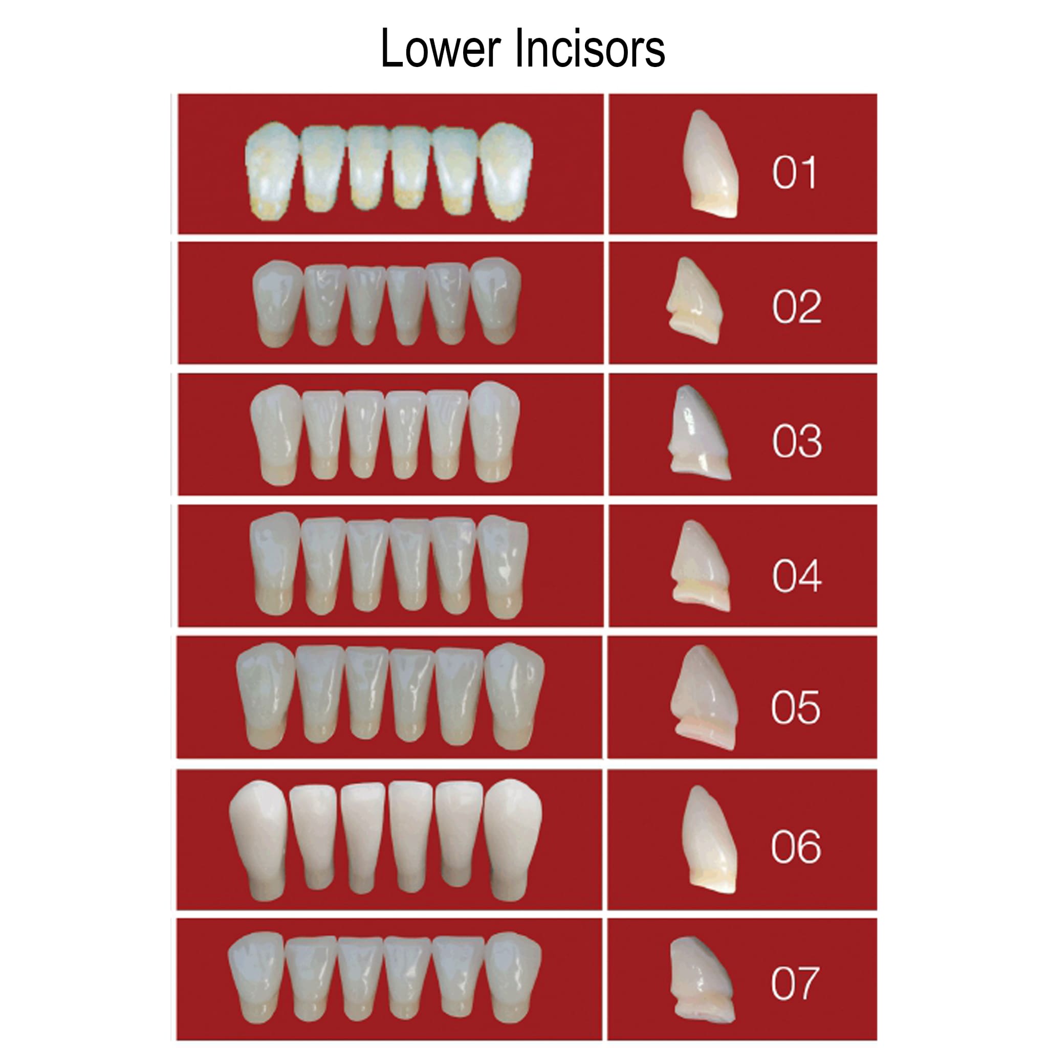 MR Dental Medi-Lux Full Set C1 Shade (Box of 4)