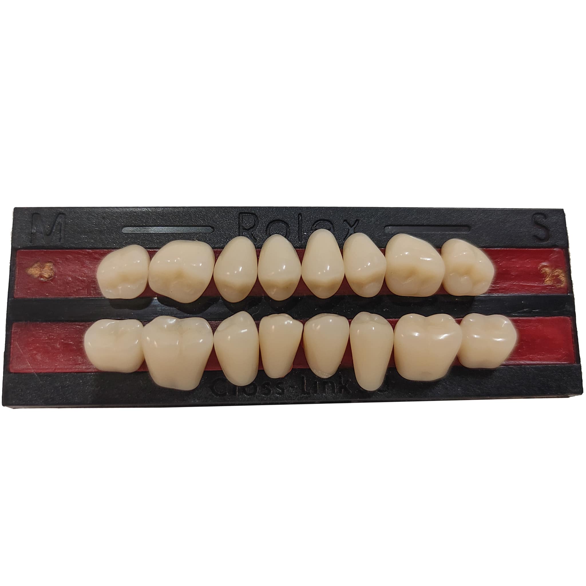 Rolex Molar Set (Box of 8)