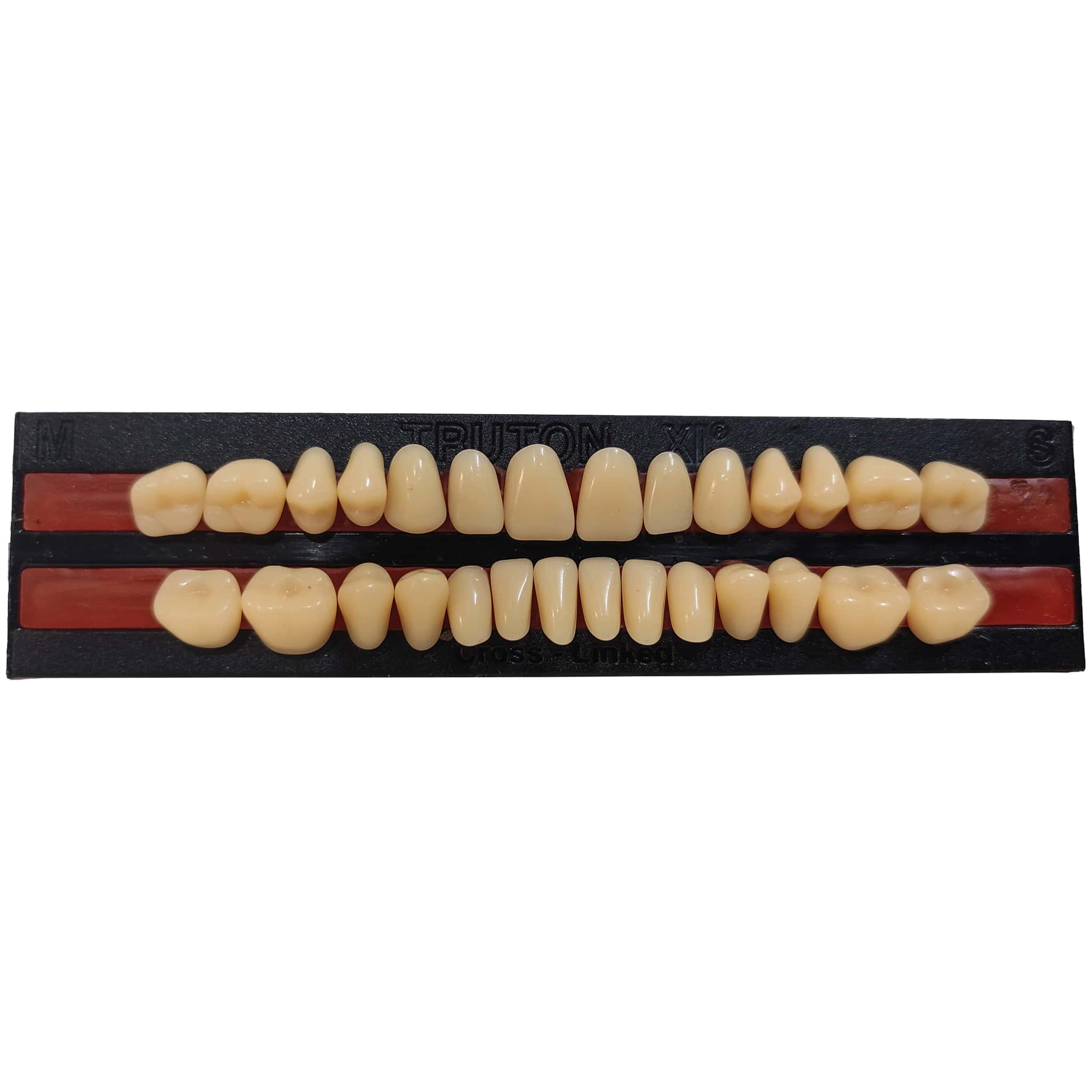 Truton Artificial Teeth Full Set (Box of 6) Shade 23