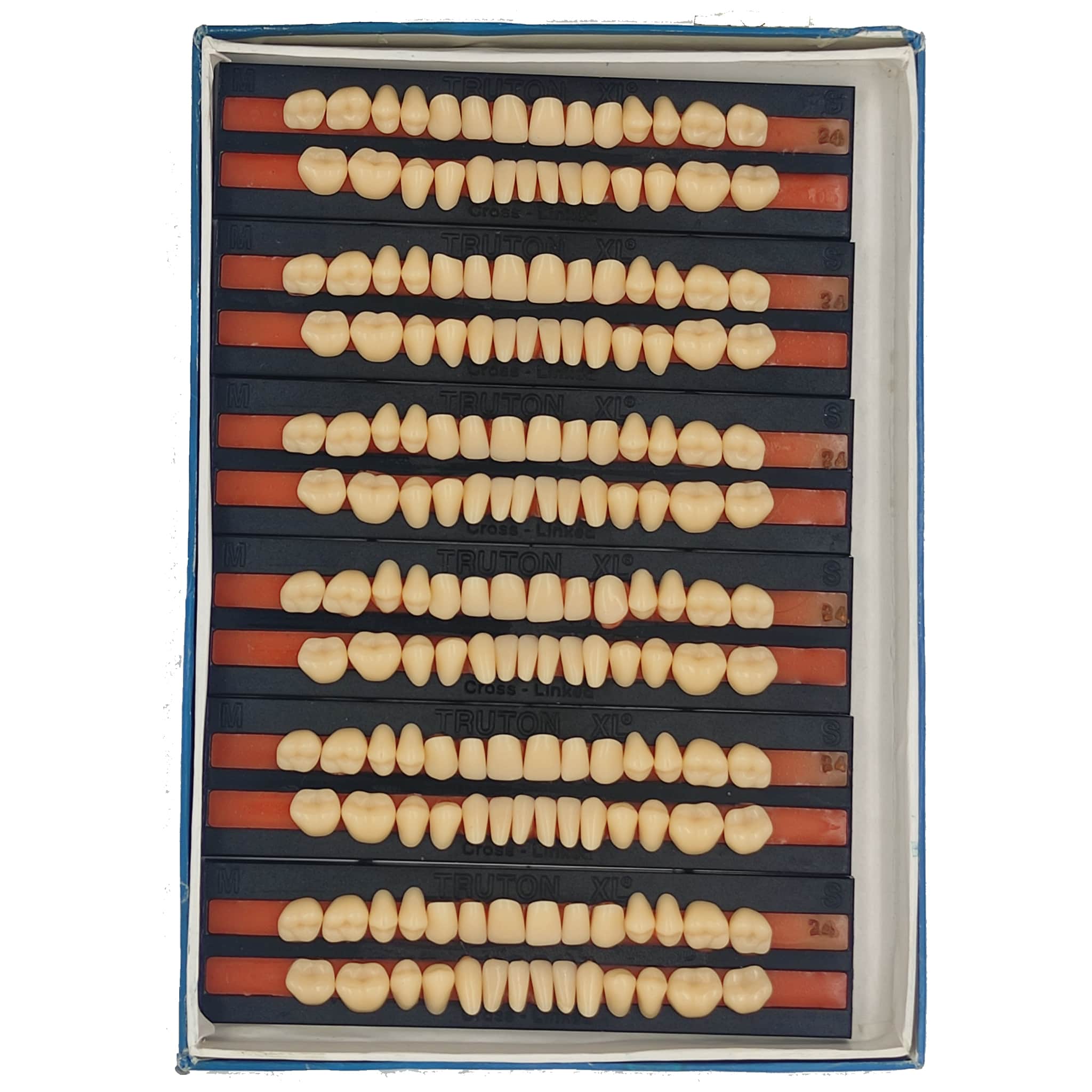 Truton Artificial Teeth Full Set (Box of 6) Shade 23