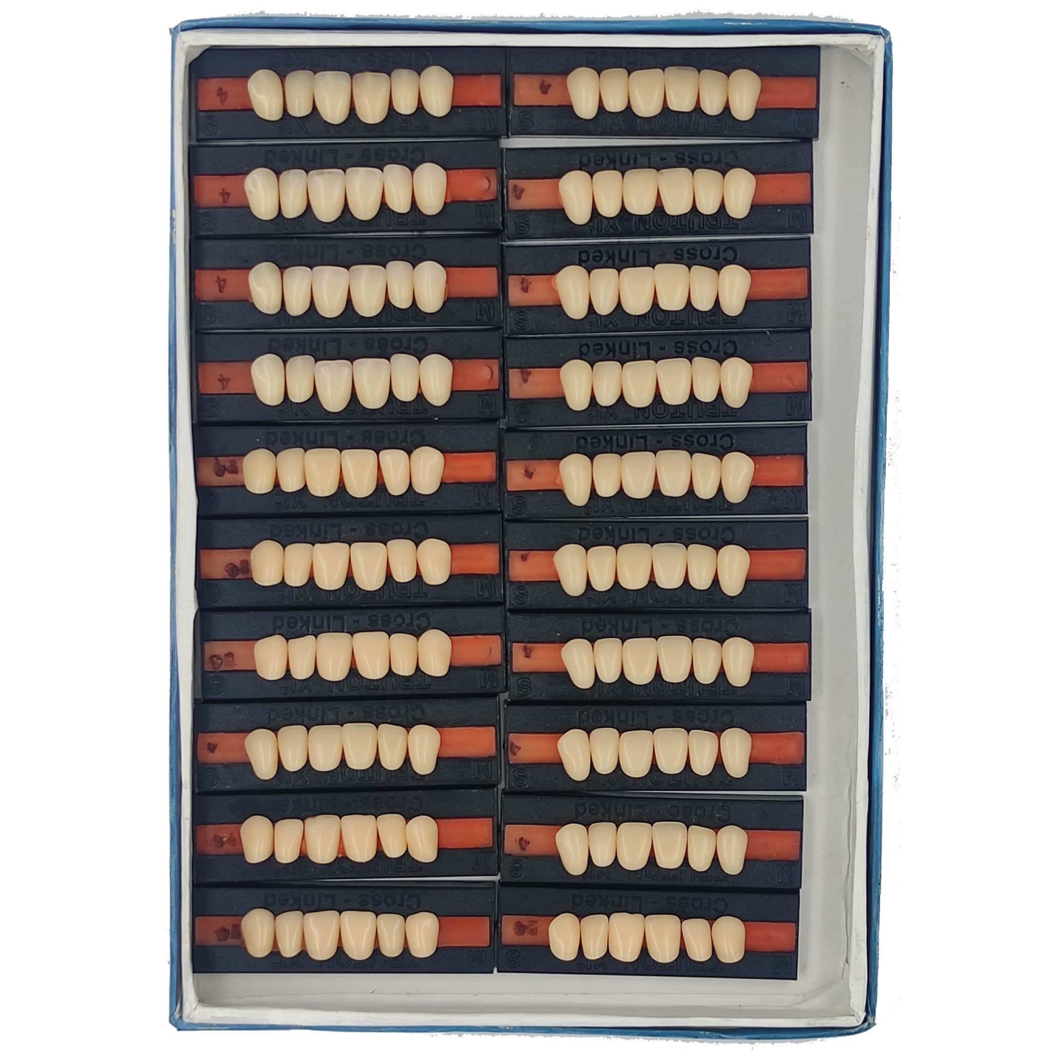 Truton Artificial Teeth Set of 6 Upper (Box of 20)