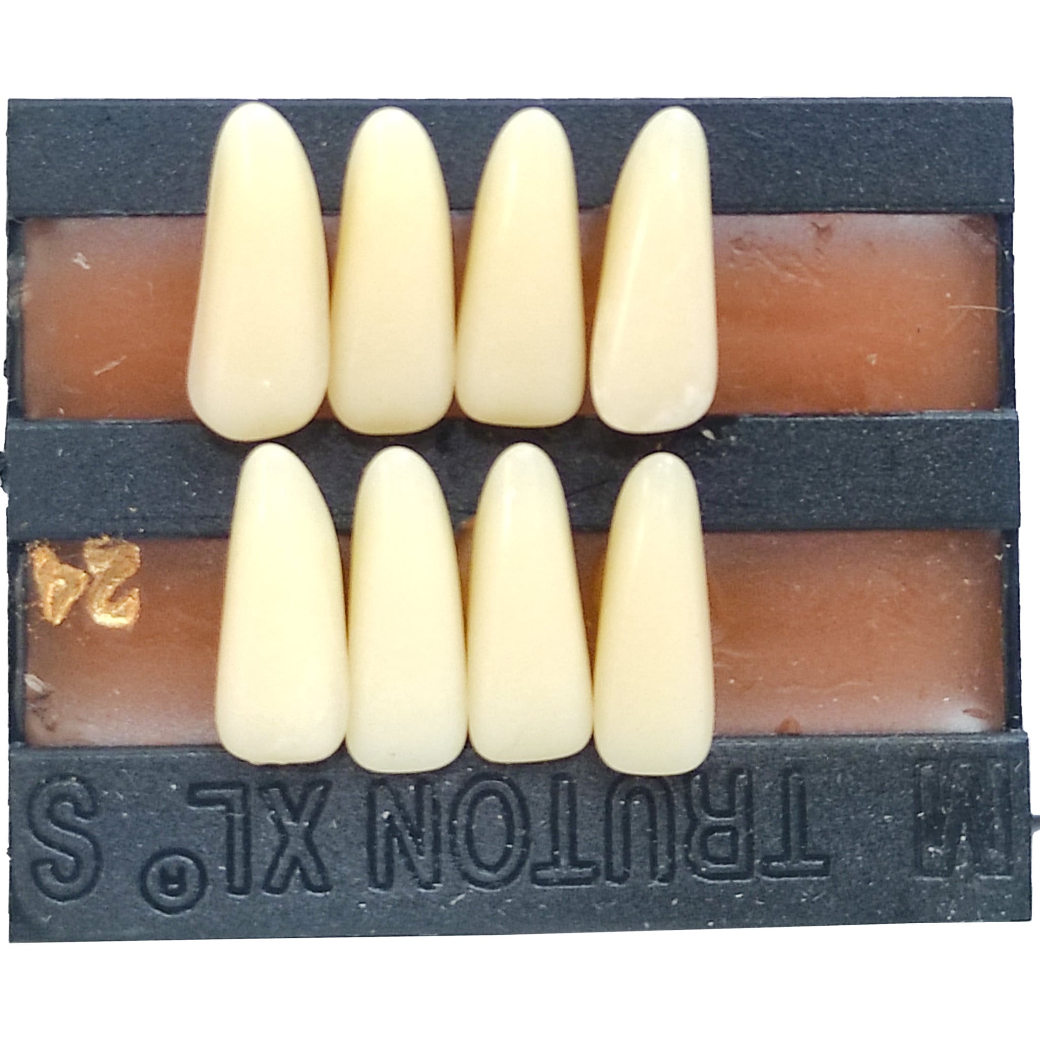 Truton Artificial Teeth Set of 8 Lower (Box of 15)