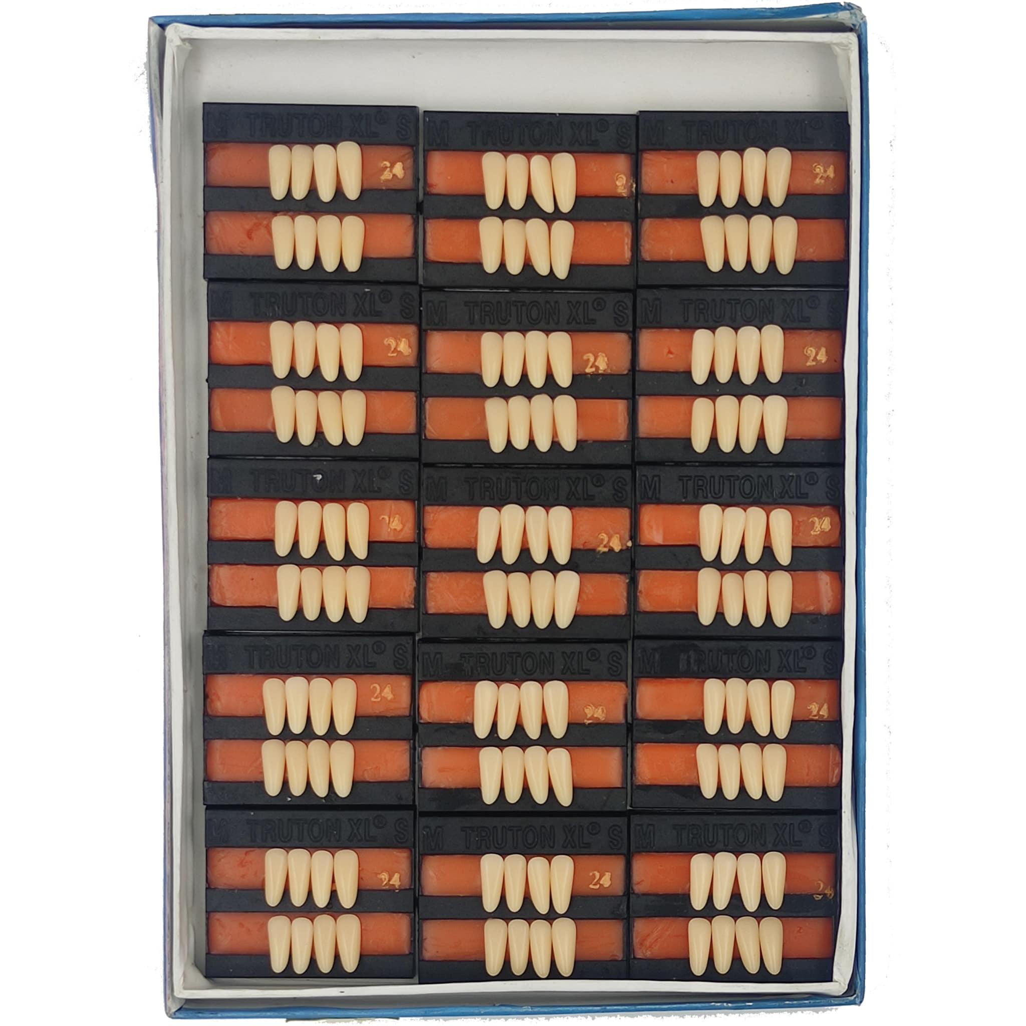 Truton Artificial Teeth Set of 8 Lower (Box of 15)