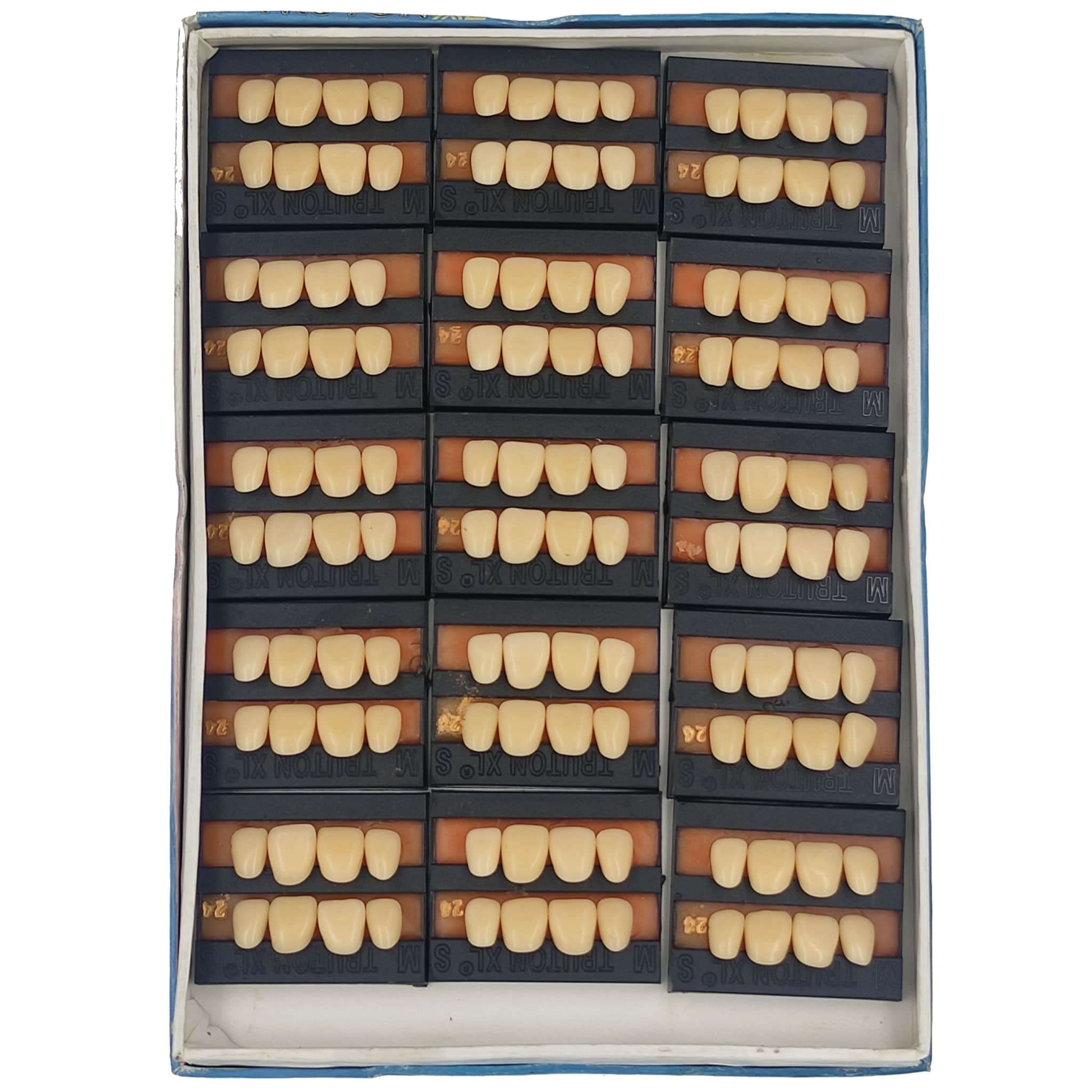 Truton Artificial Teeth Set of 8 Upper (Box of 15)