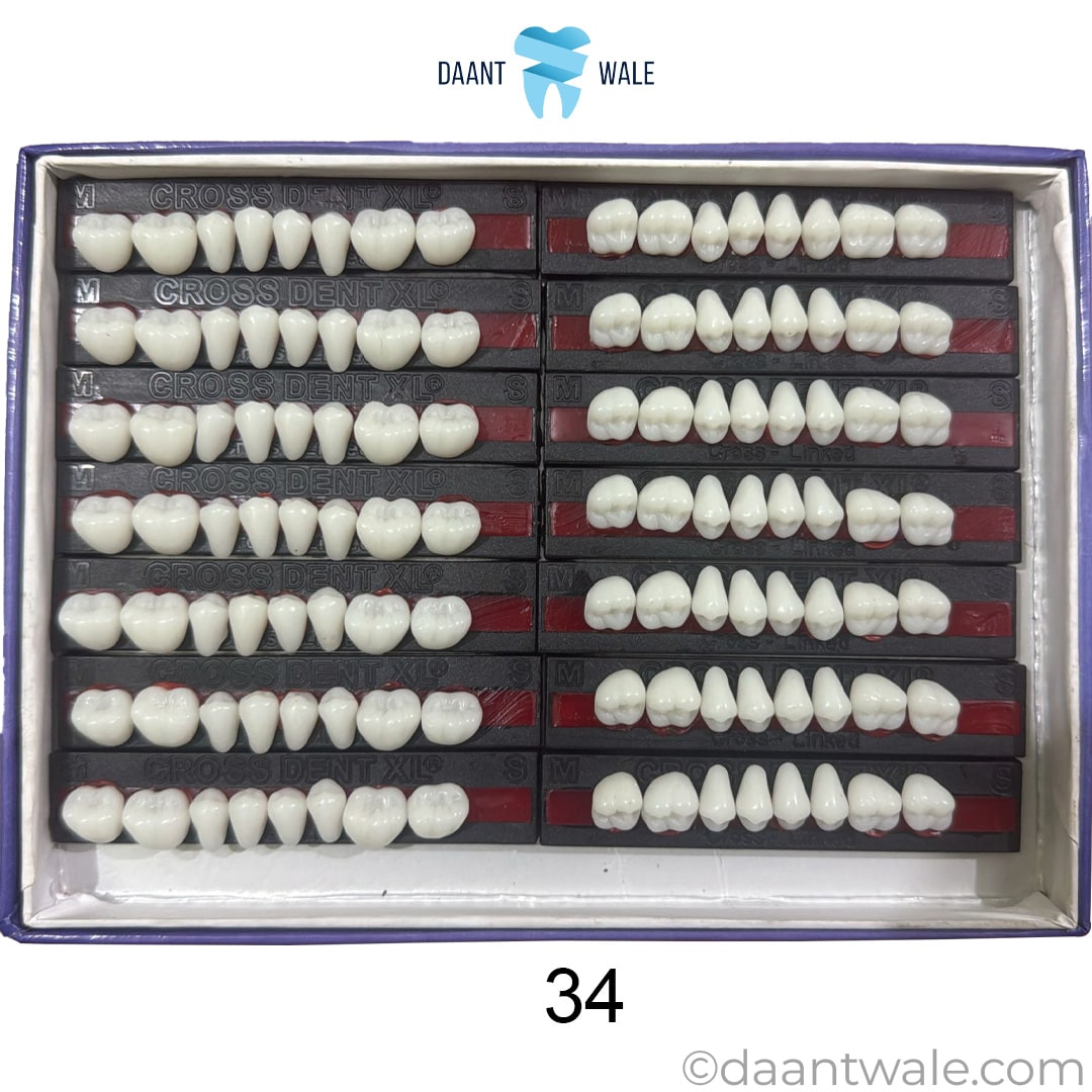 JDP Cross Dent XL Acrylic Teeth Molar Set (Box of 14)