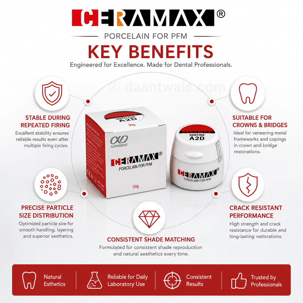 Ceramax Dentine Porcelain For PFM