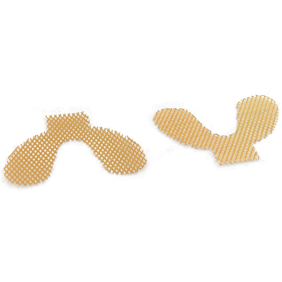 Denture Mesh Imported (Pack of 2)
