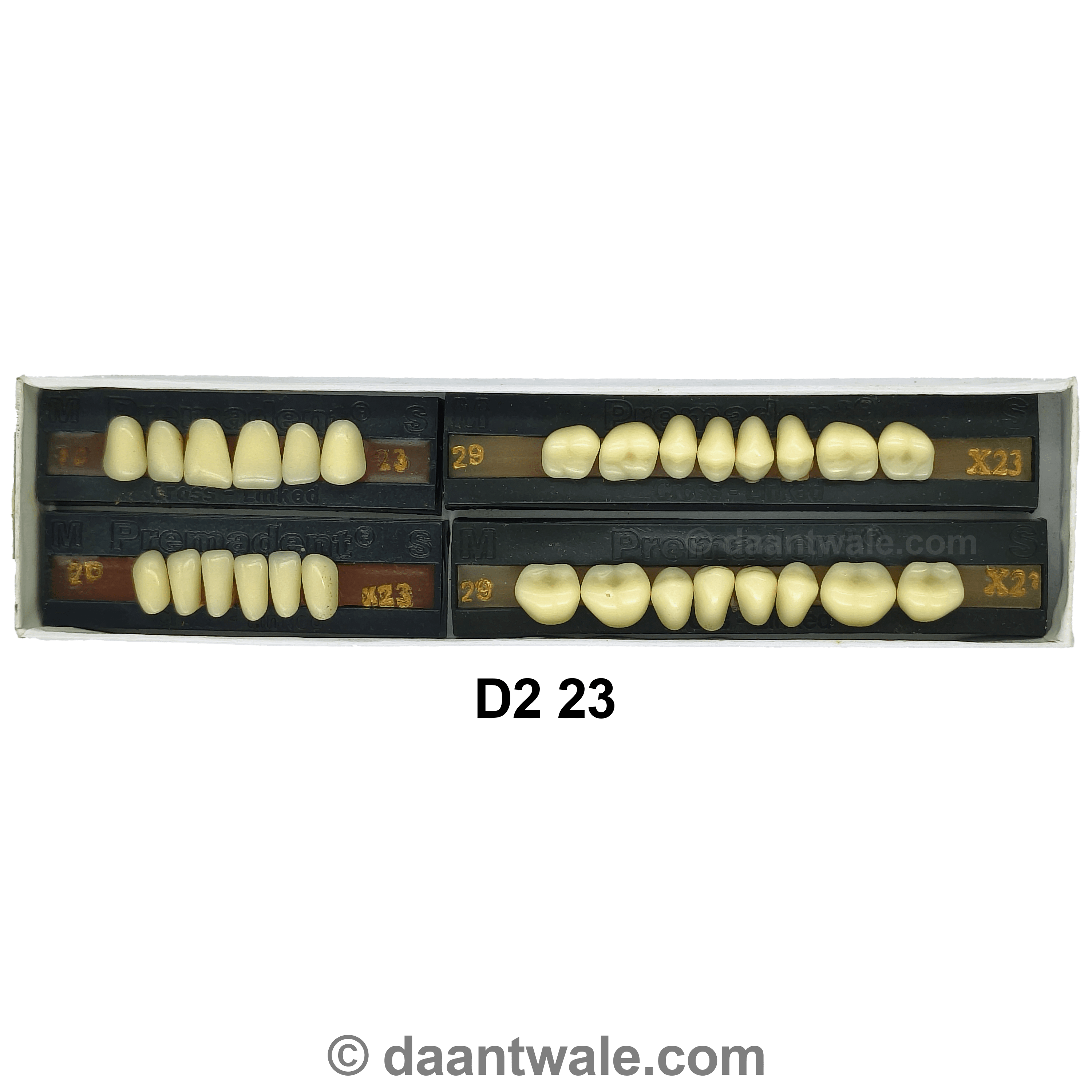 Premadent Teeth Set Cross Linked Acrylic Teeth (Shade 23)