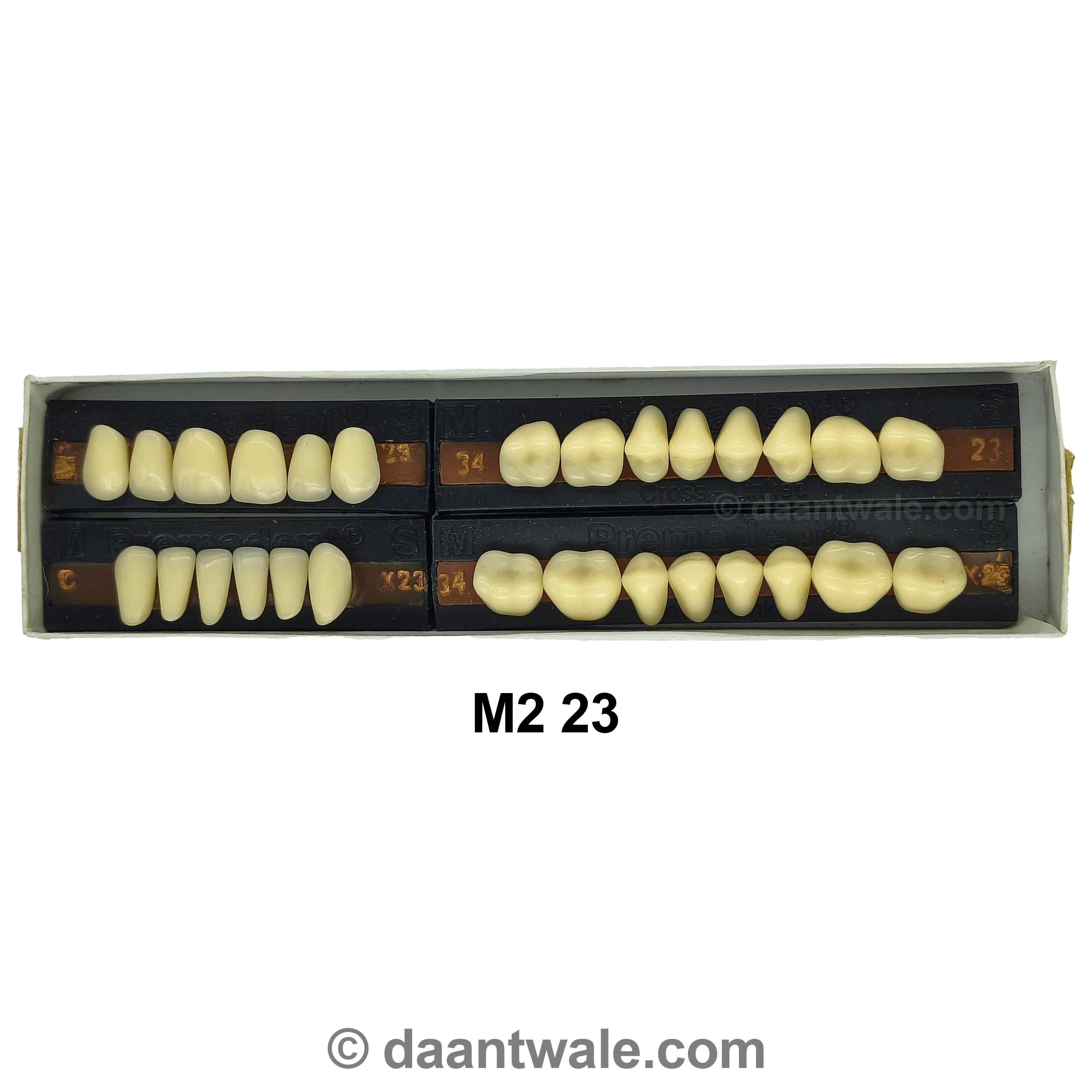 Premadent Teeth Set Cross Linked Acrylic Teeth (Shade 23)
