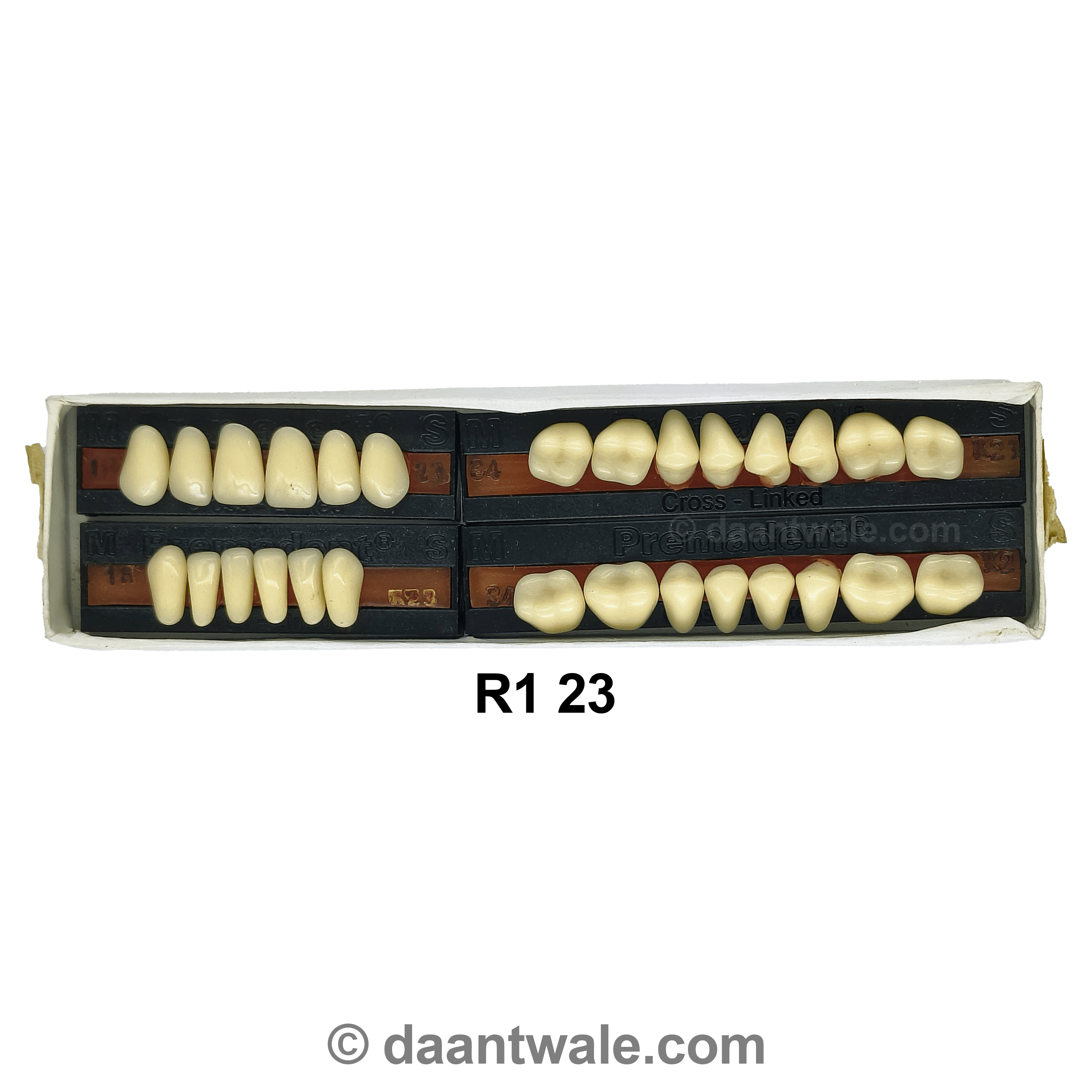 Premadent Teeth Set Cross Linked Acrylic Teeth (Shade 23)
