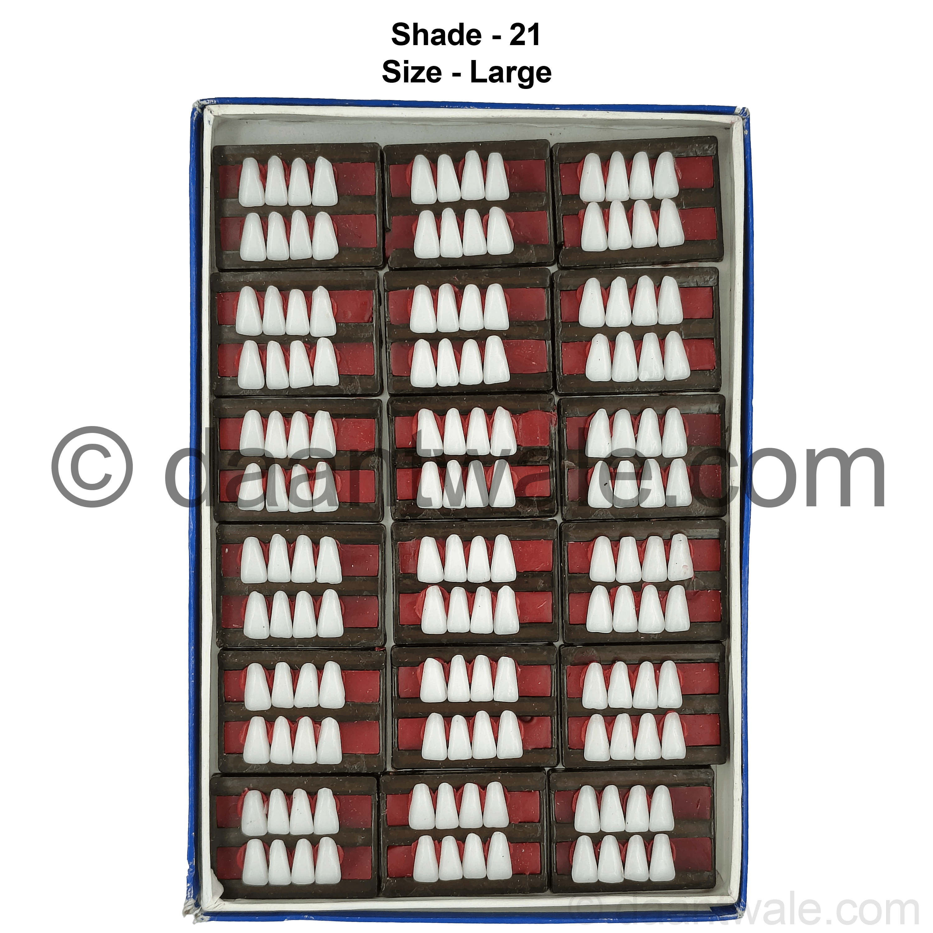 Sonadent Super Acrylic Teeth Set of 8 Lower (Box of 18)