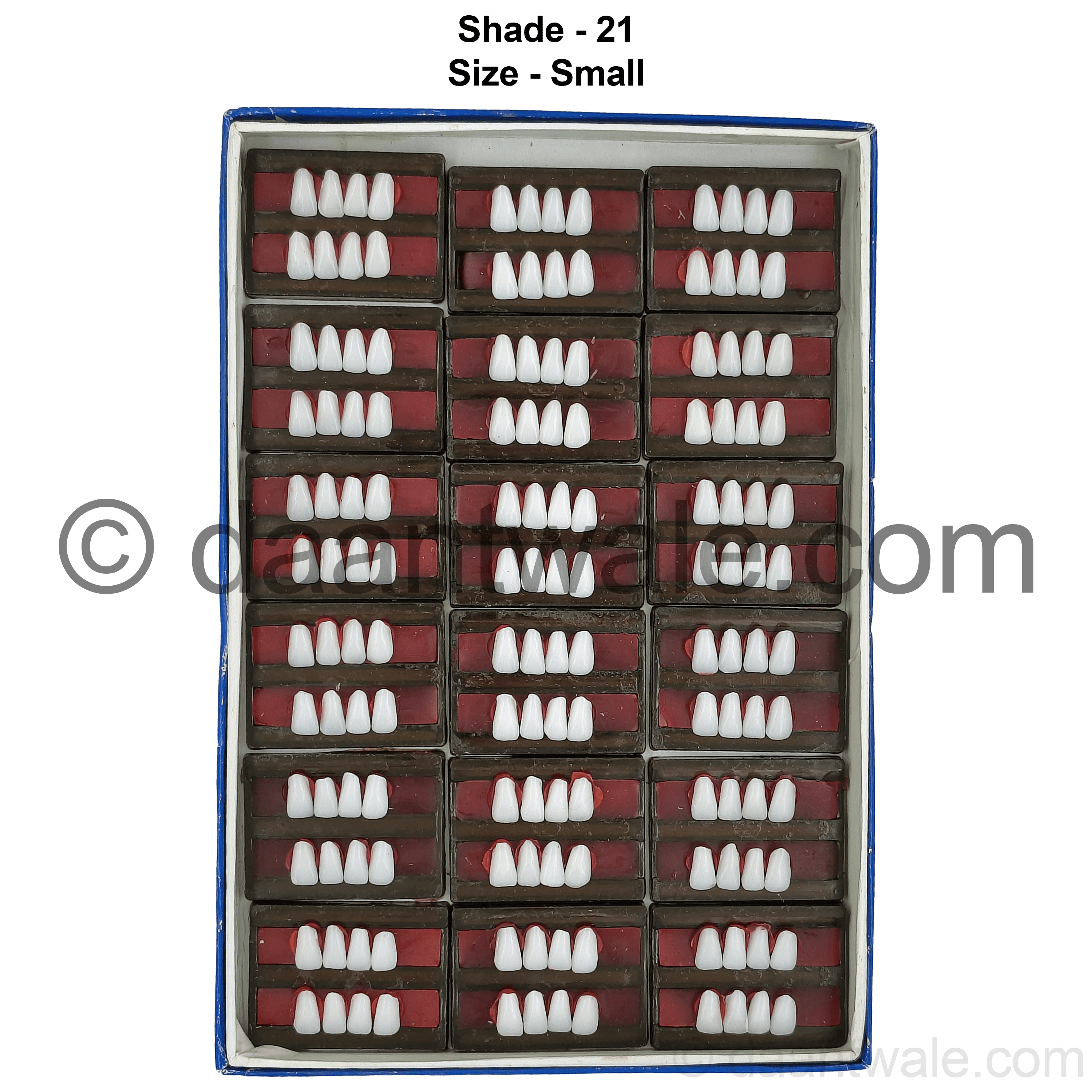 Sonadent Super Acrylic Teeth Set of 8 Lower (Box of 18)