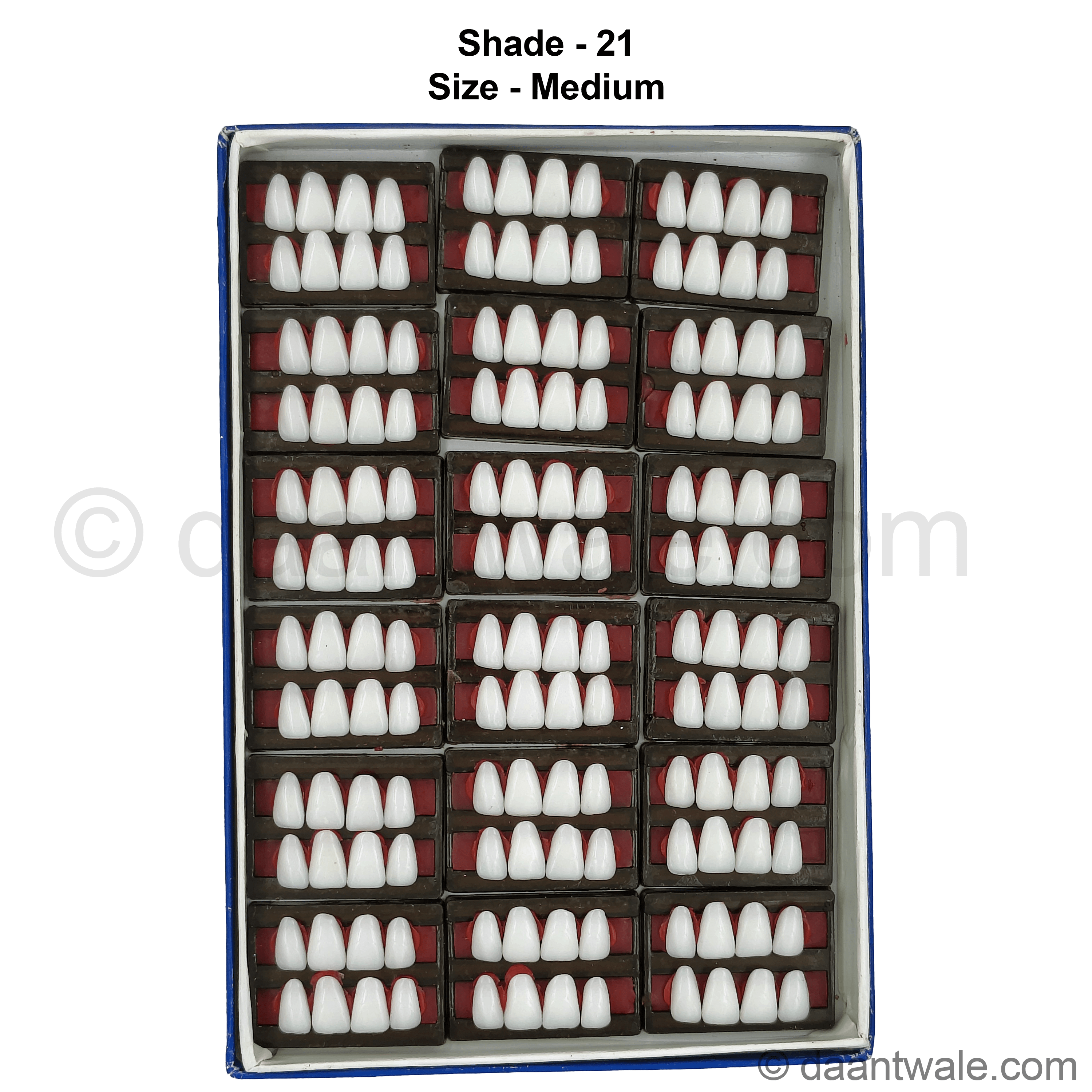 Sonadent Super Acrylic Teeth Set of 8 Upper (Box of 18)