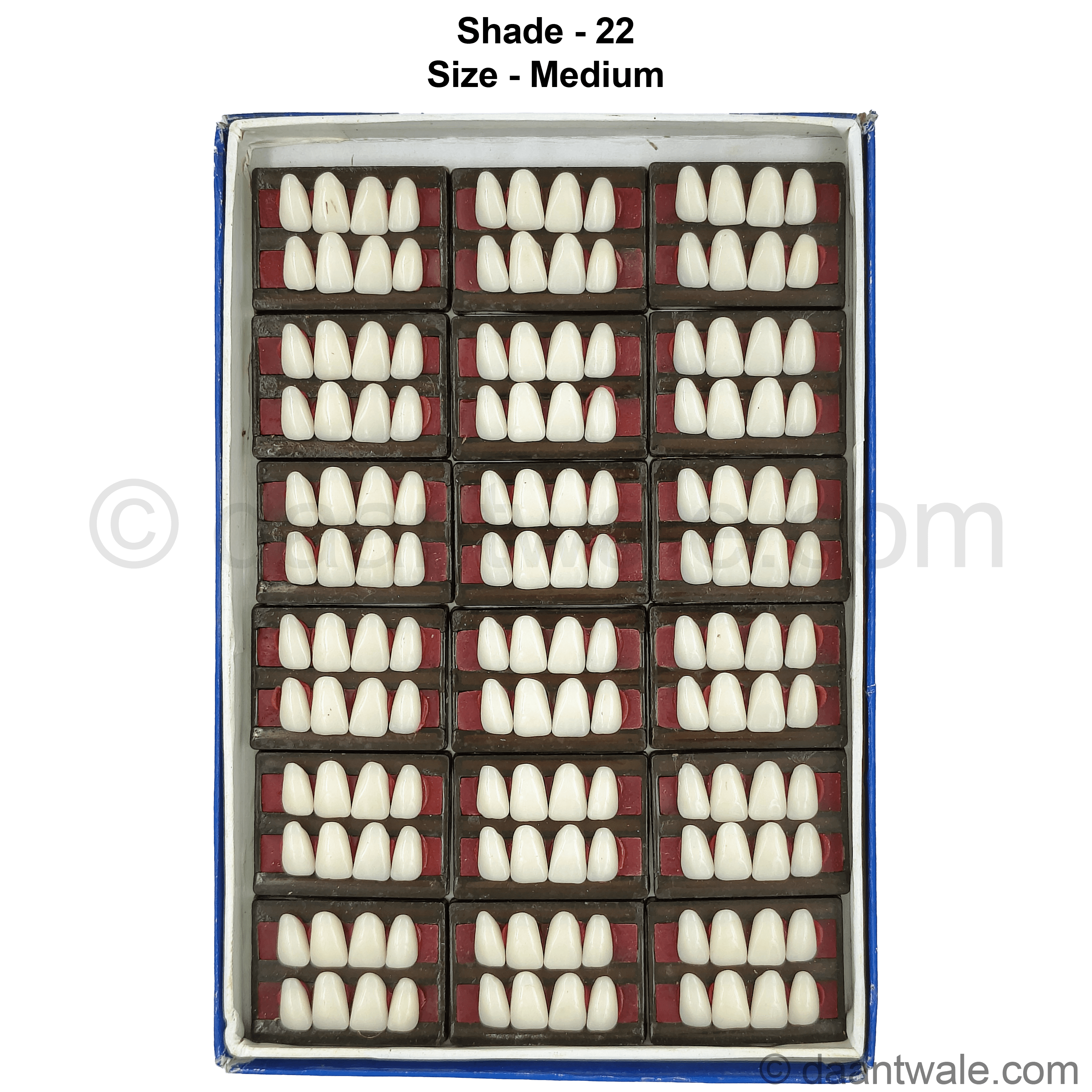 Sonadent Super Acrylic Teeth Set of 8 Upper (Box of 18)